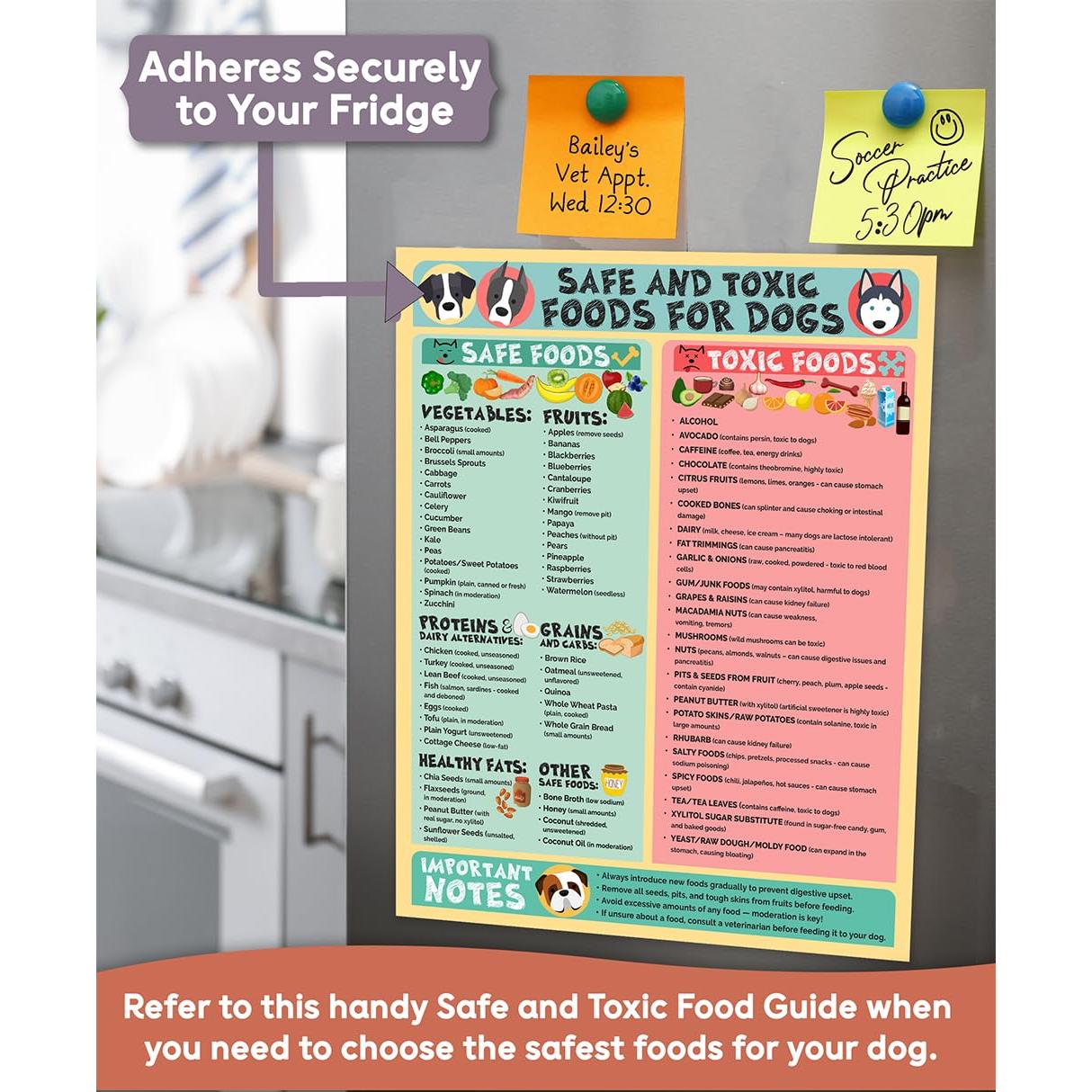 Cartel Imán Alimentos Seguros y Tóxicos para Perros 21.6x27.9 cm