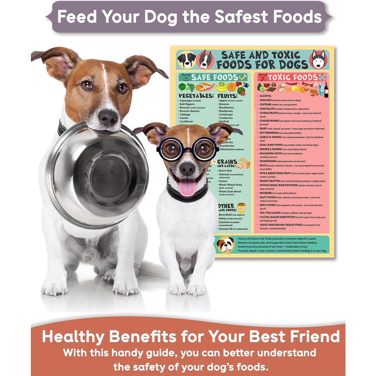 Cartel Imán Alimentos Seguros y Tóxicos para Perros 21.6x27.9 cm