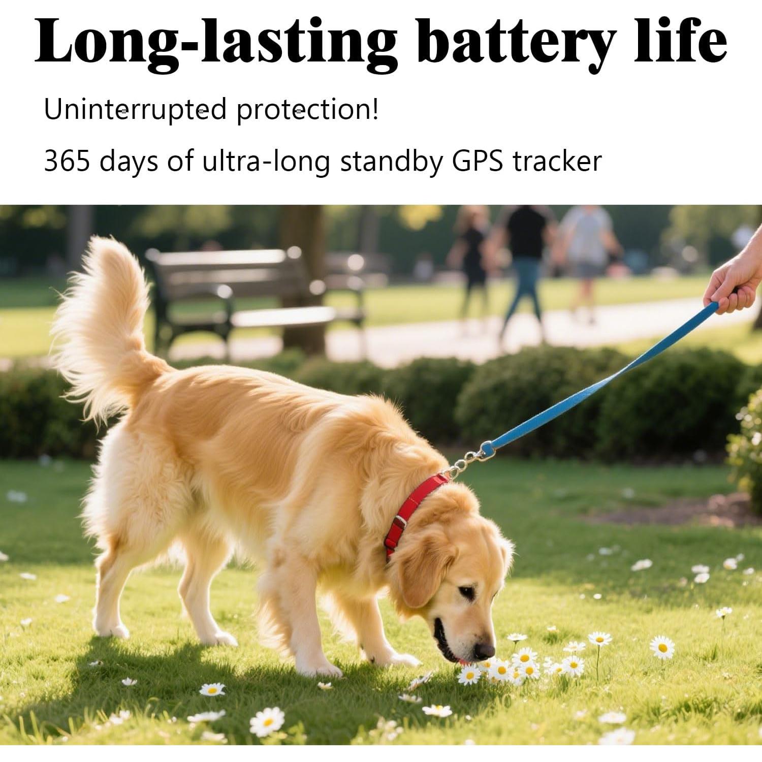 Rastreador GPS para mascotas VKAFW Mini Impermeable 1 Año Batería