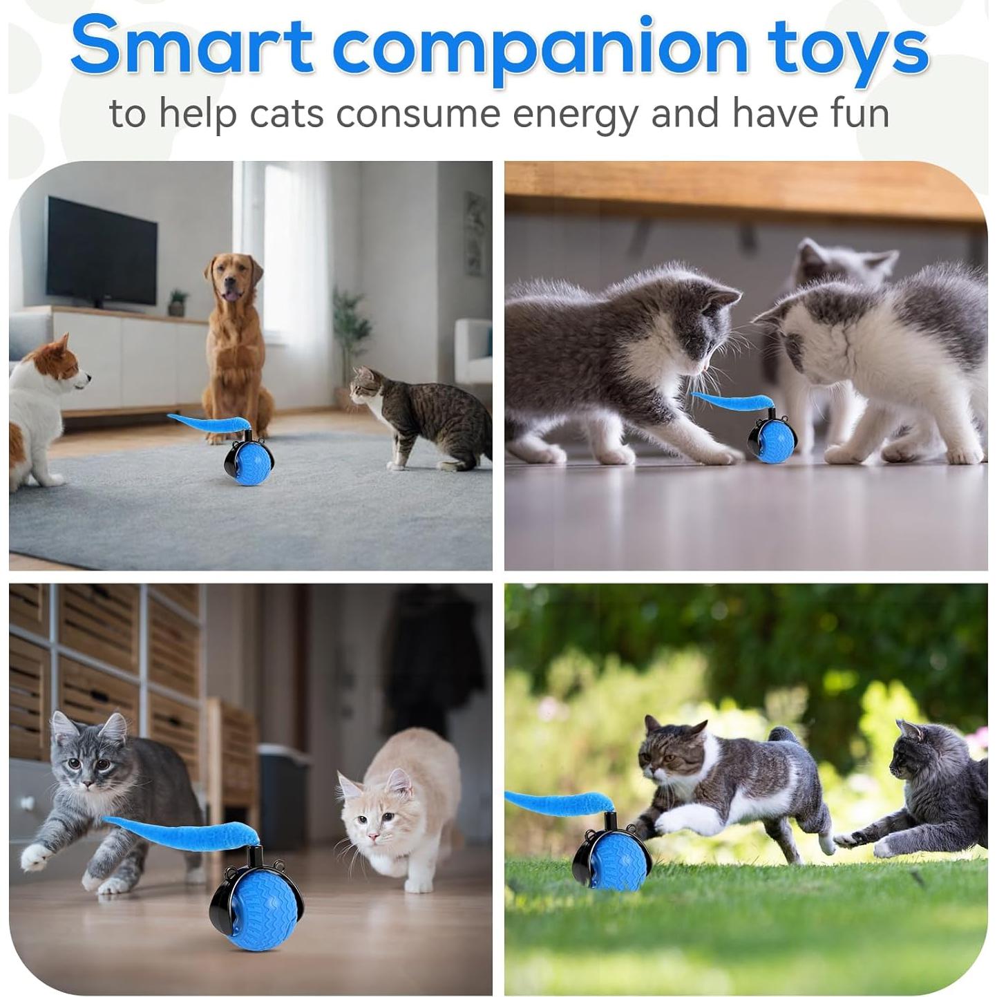 Juguete Interactivo para Gatos Maycserena Bola Automática 3 Modos