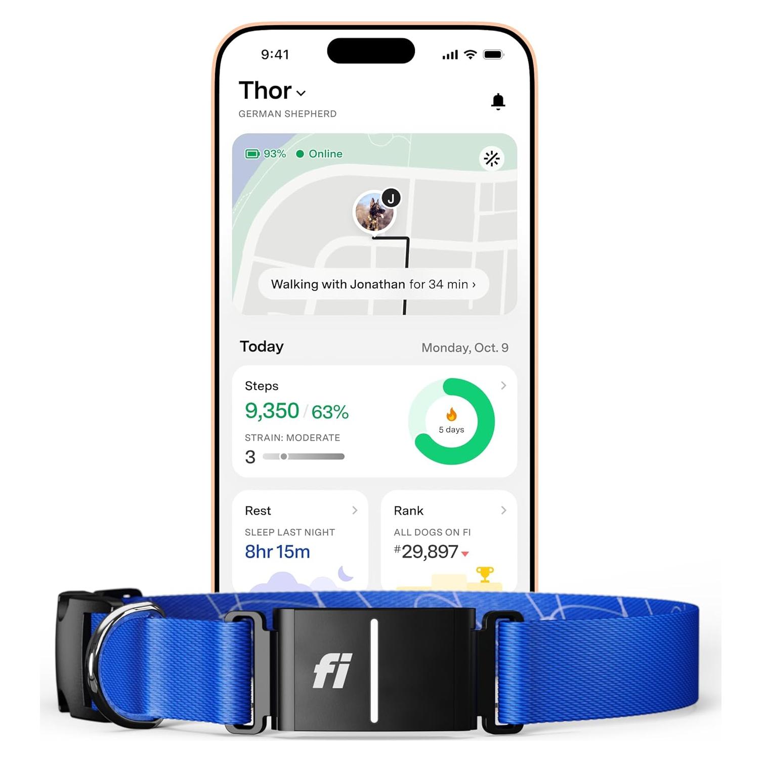 Collar Inteligente para Perros Fi Series 3+ GPS Grande Azul