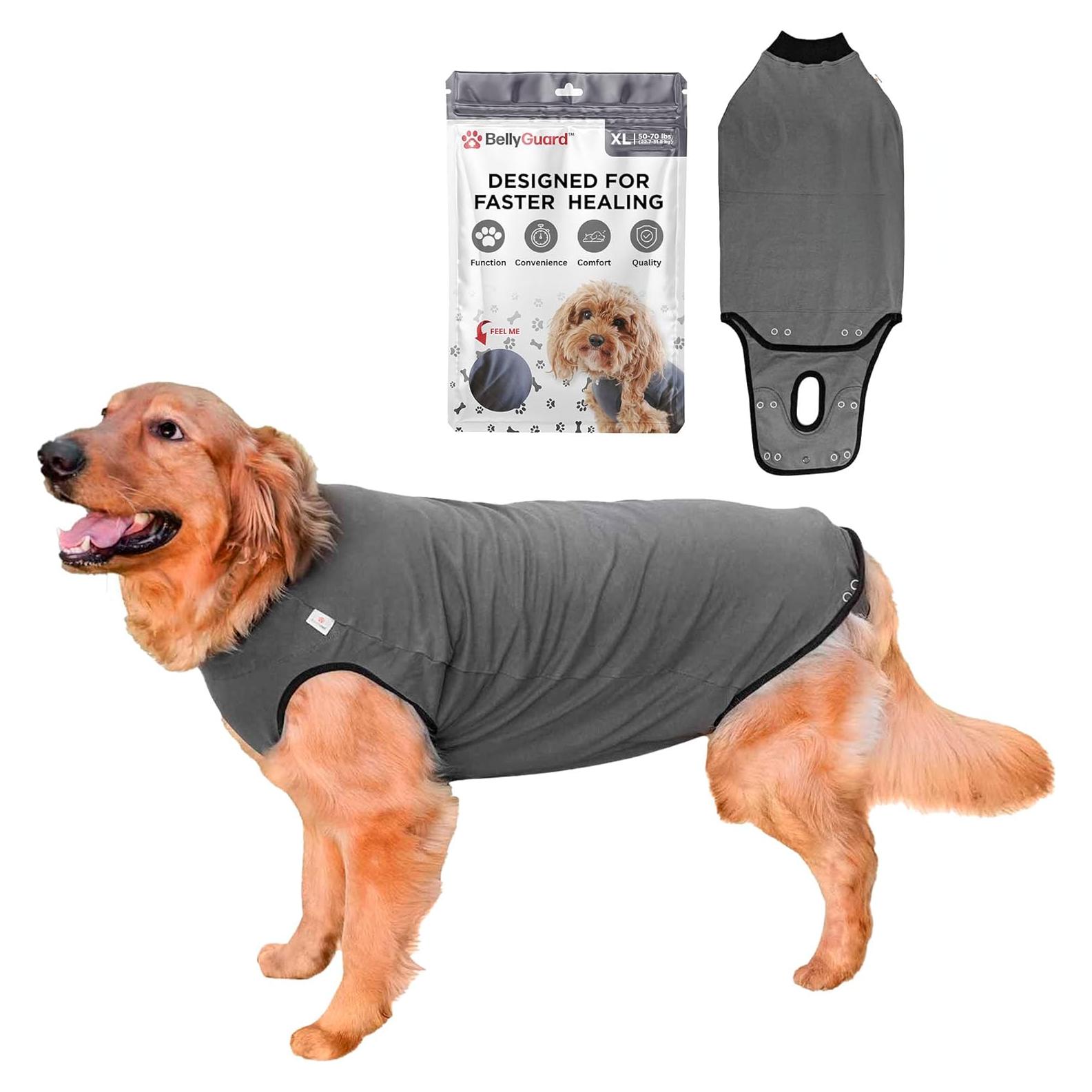 Traje de Recuperación para Perros BellyGuard XL Gris - Postoperatorio
