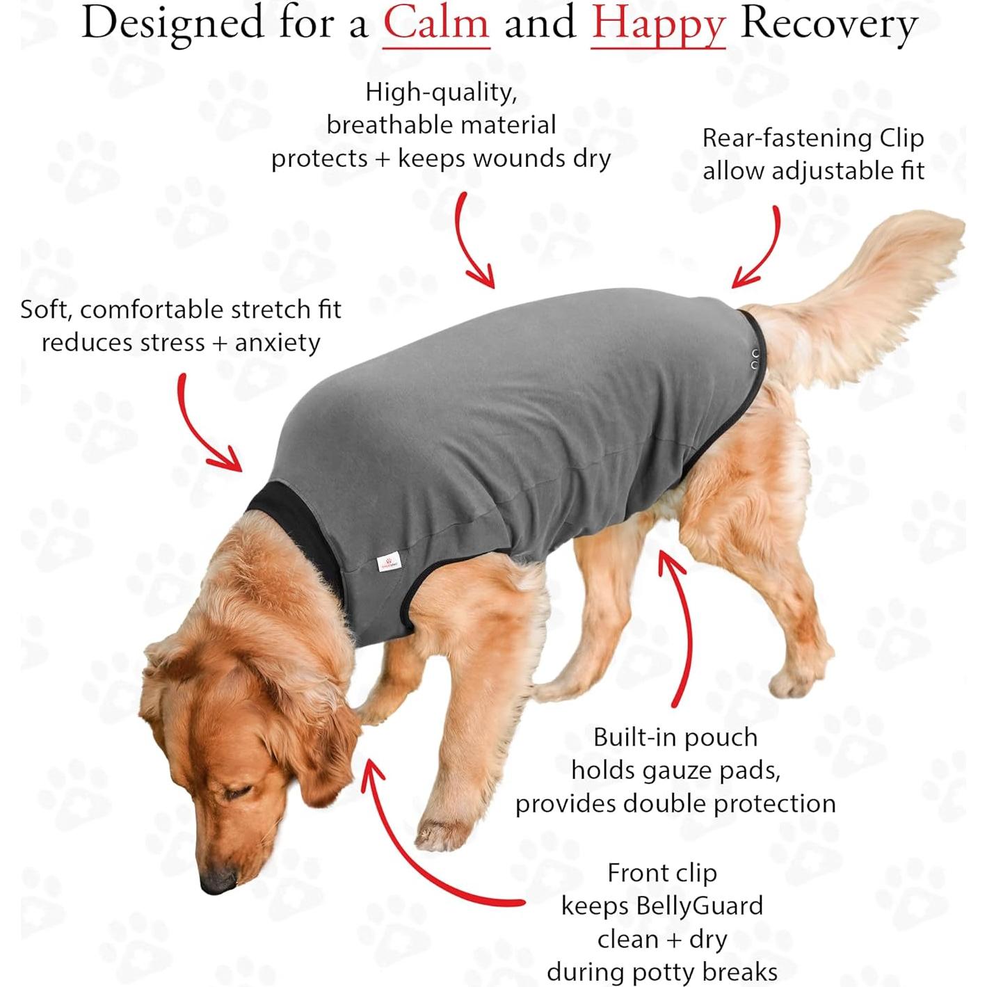 Traje de Recuperación para Perros BellyGuard XL Gris - Postoperatorio