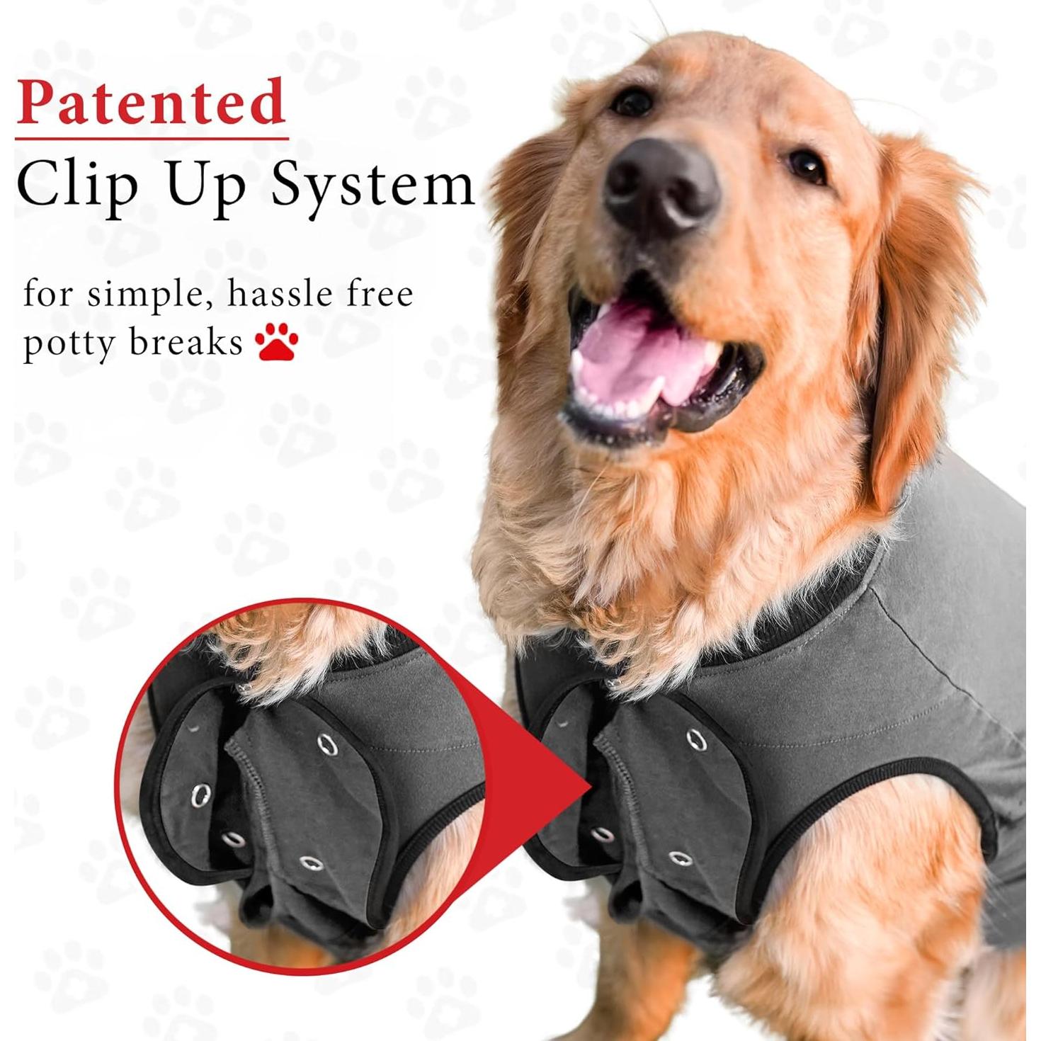 Traje de Recuperación para Perros BellyGuard XL Gris - Postoperatorio