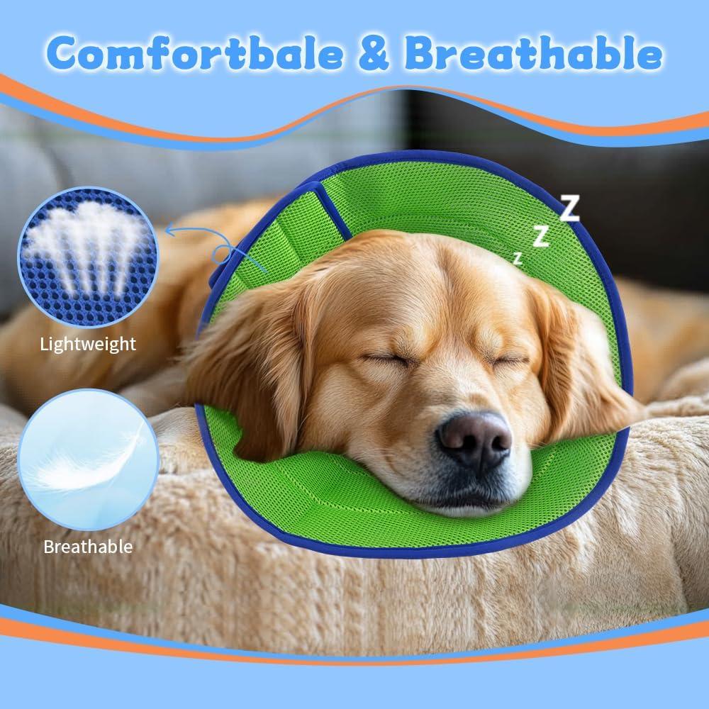 Collar de Recuperación Suave para Perros INS_DCC L - 9 a 22 kg