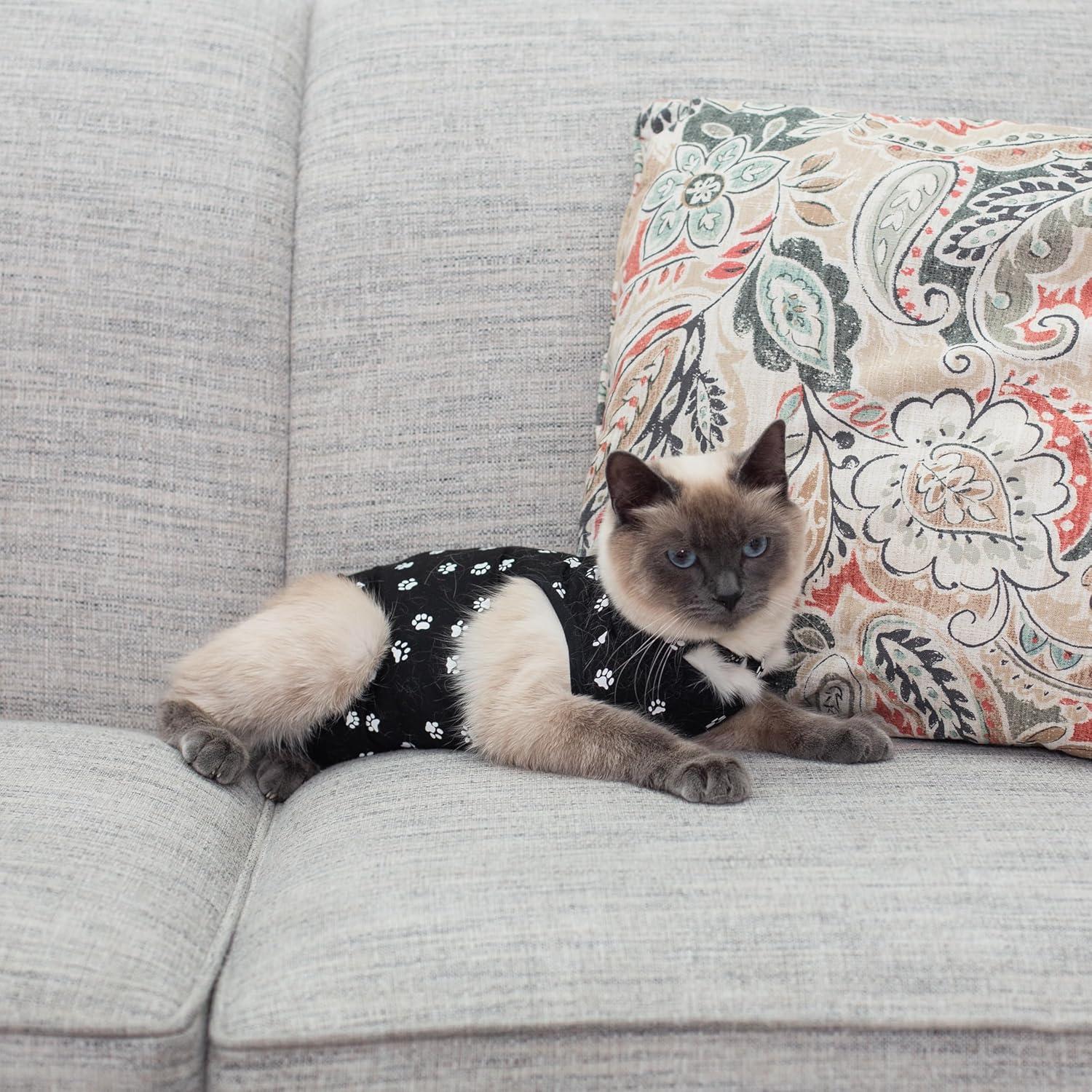 Mono postoperatorio para gatos Kedi Cats negro mediano