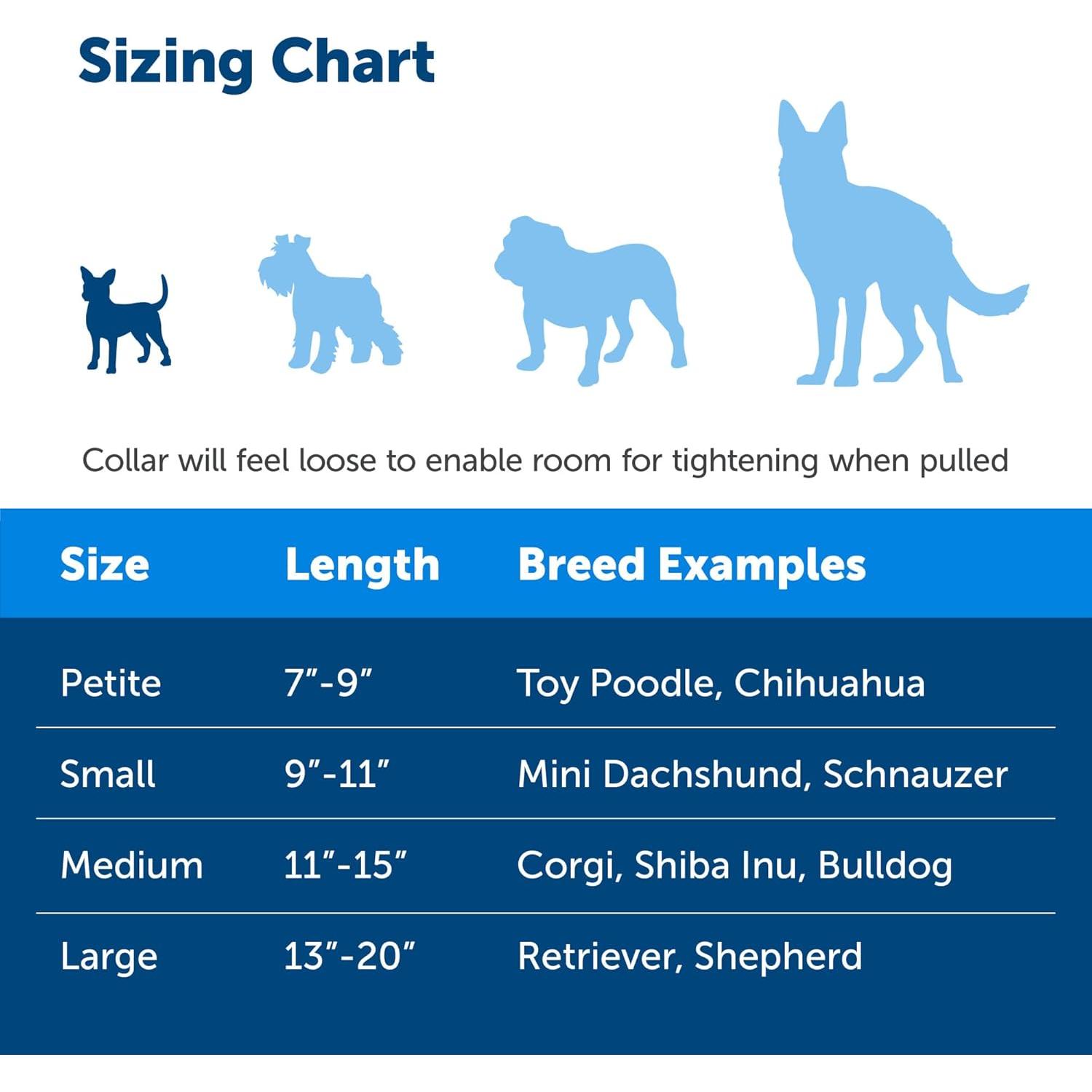 Collar Martingale PetSafe Azul Real 0.95 cm Pequeño