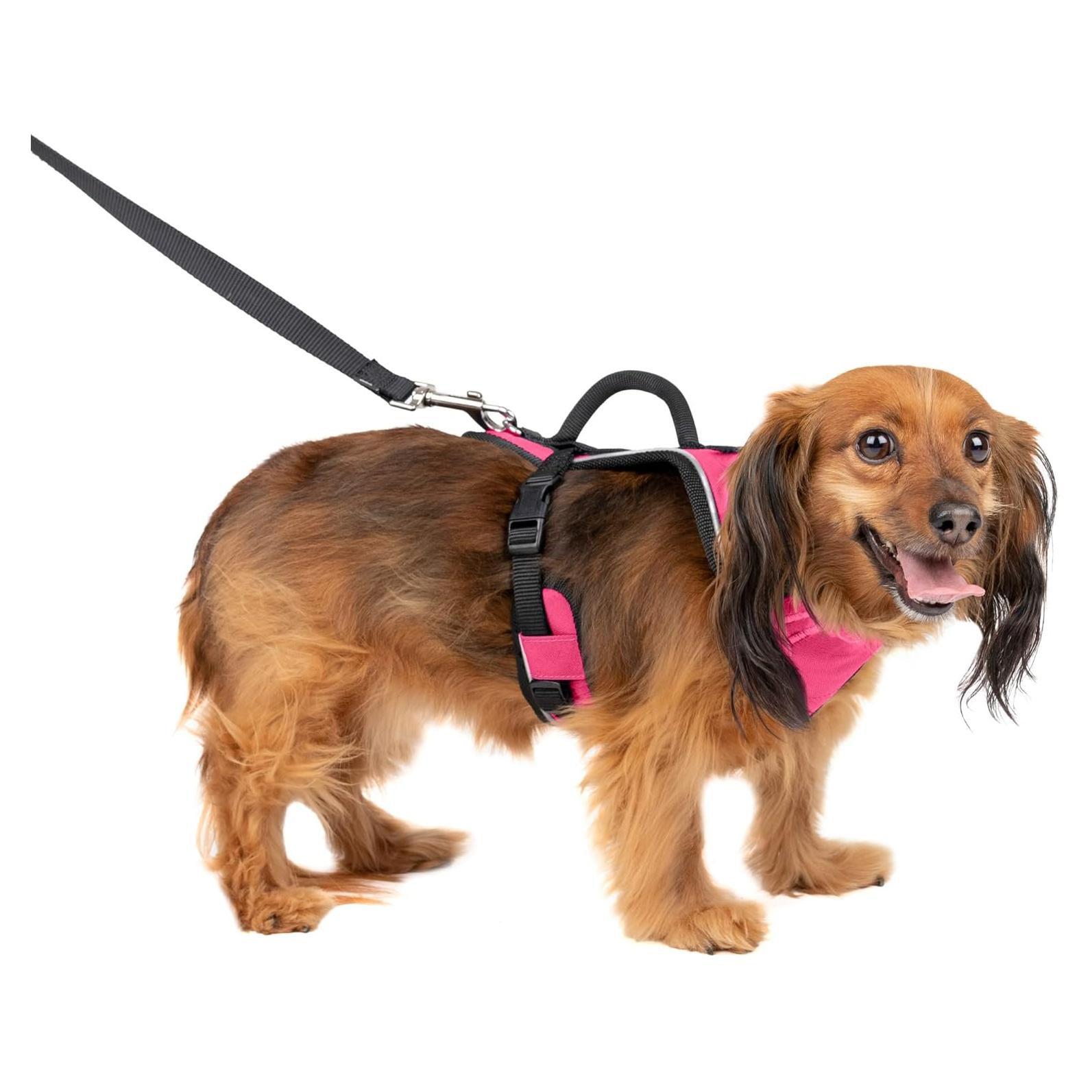 Arnés para Perros PetSafe EasySport Ajustable Acolchado Rosa