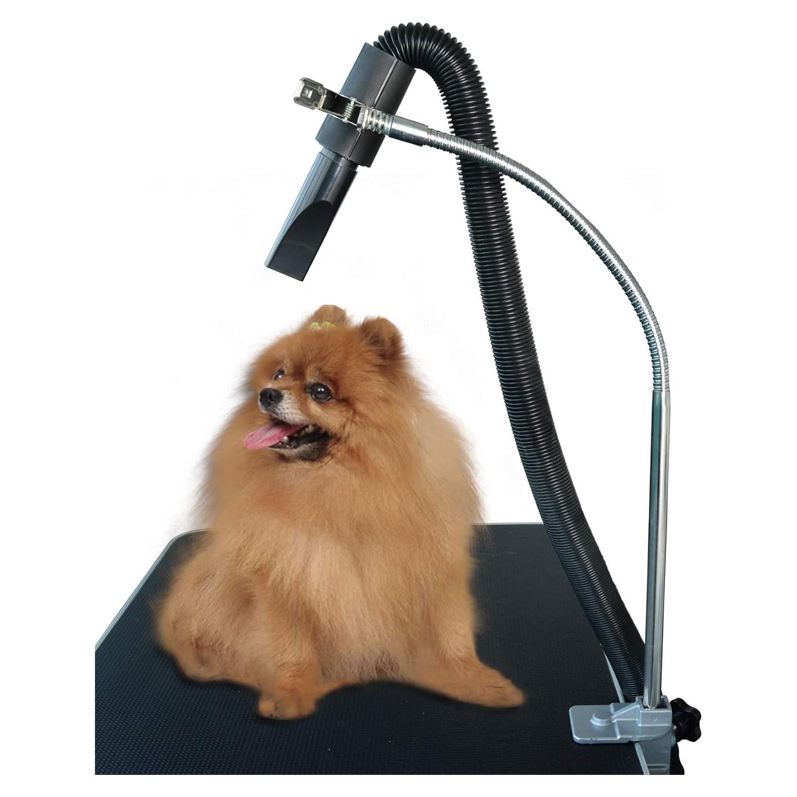 Soporte para Secador de Pelo de Mascotas SHELANDY Ajustable Acero Inoxidable
