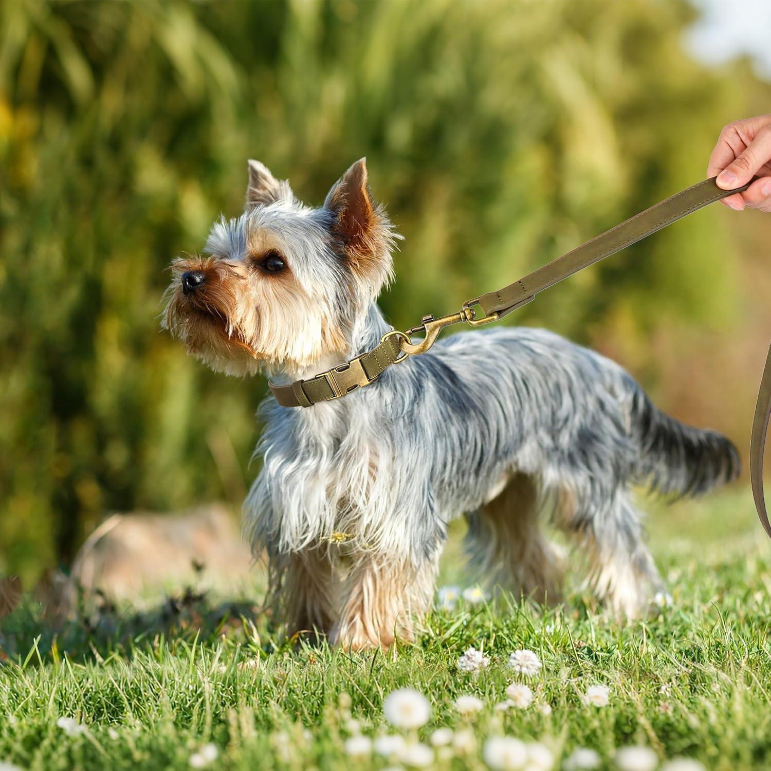 Collar para Perro Didog de Cuero PU Verde Oscuro Talla S 25-41 cm