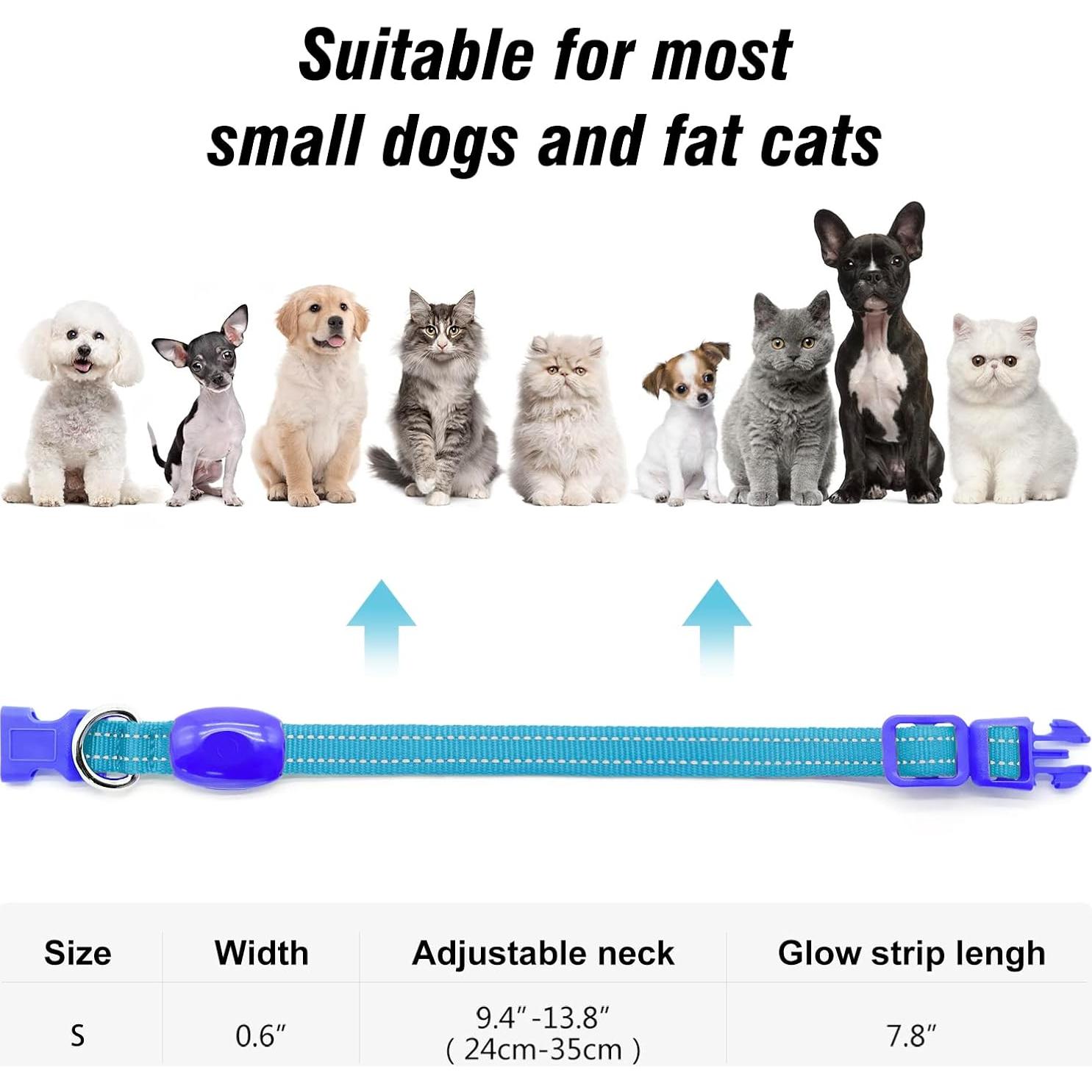 Collar LED Recargable para Perros Pequeños Visinite Azul