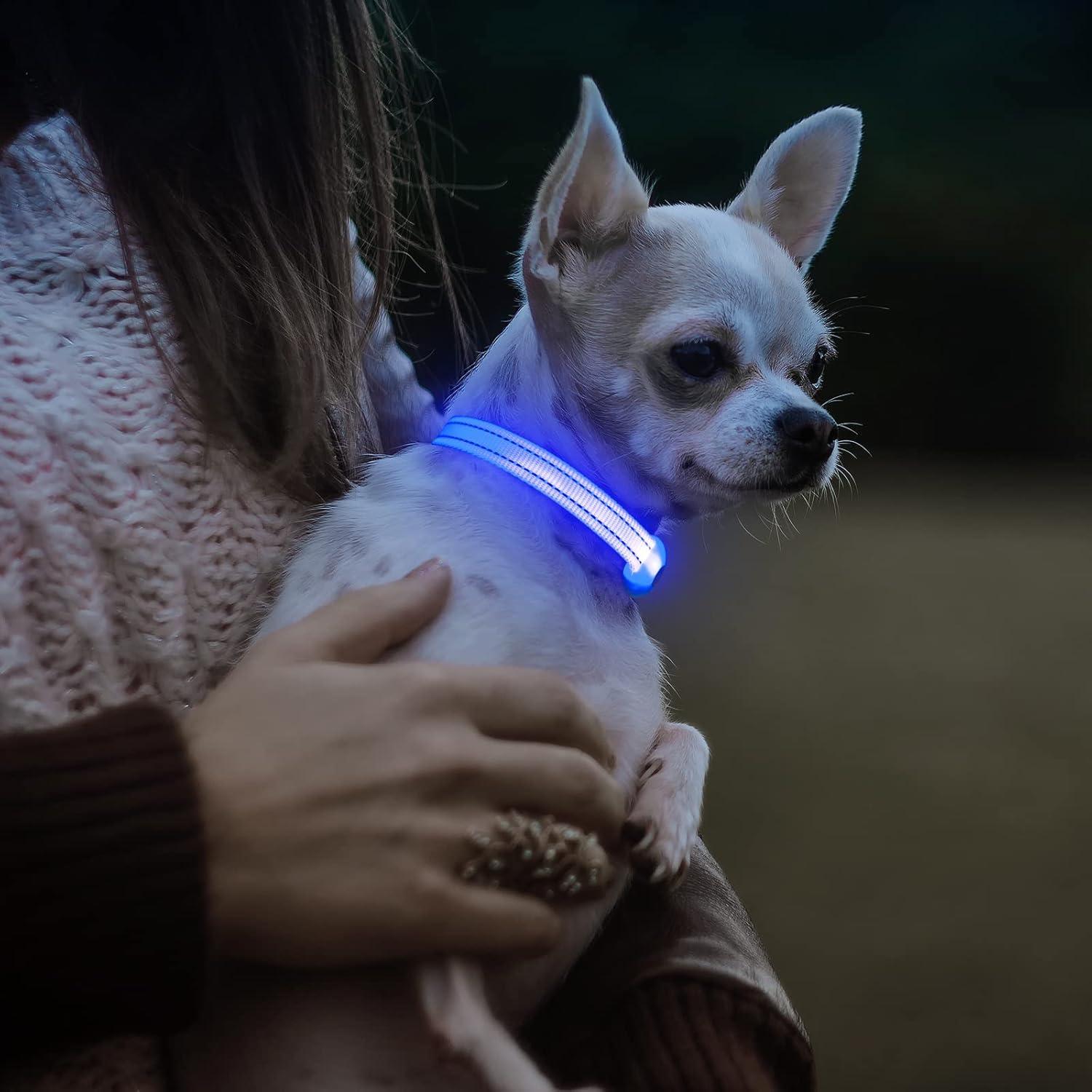 Collar LED Recargable para Perros Pequeños Visinite Azul