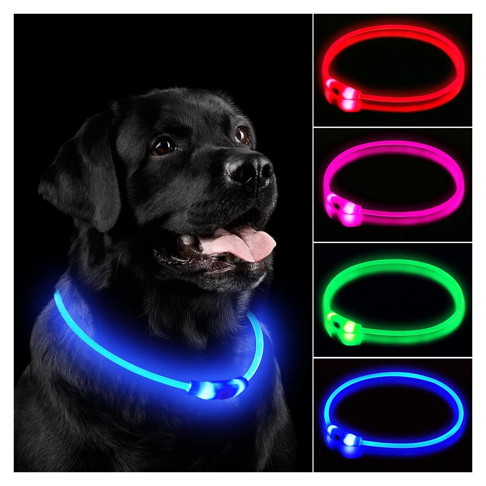 Collar de Perro LED Recargable NOVKIN Azul Impermeable IP67