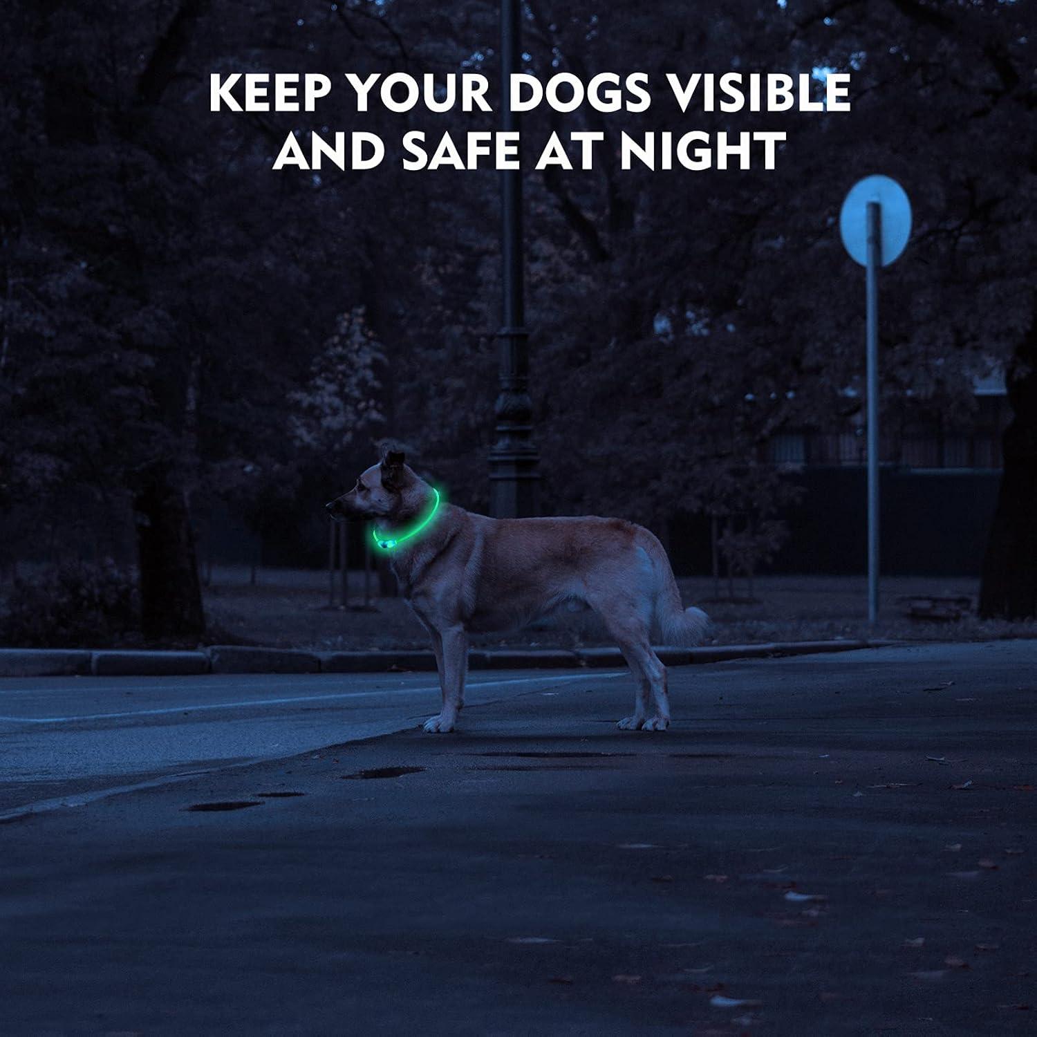 Collar de Perro LED Recargable NOVKIN Azul Impermeable IP67