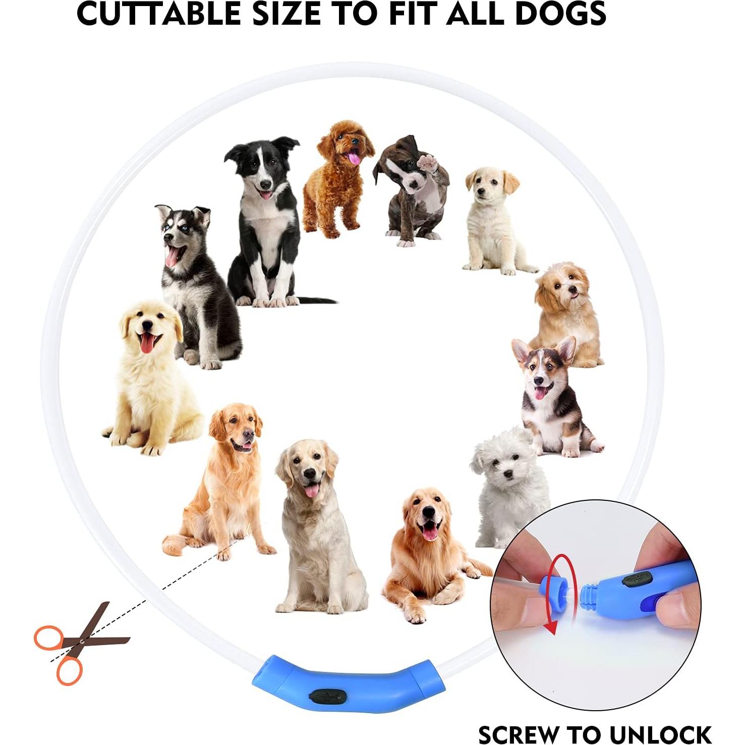 Collar de Perro LED Recargable NOVKIN Azul Impermeable IP67