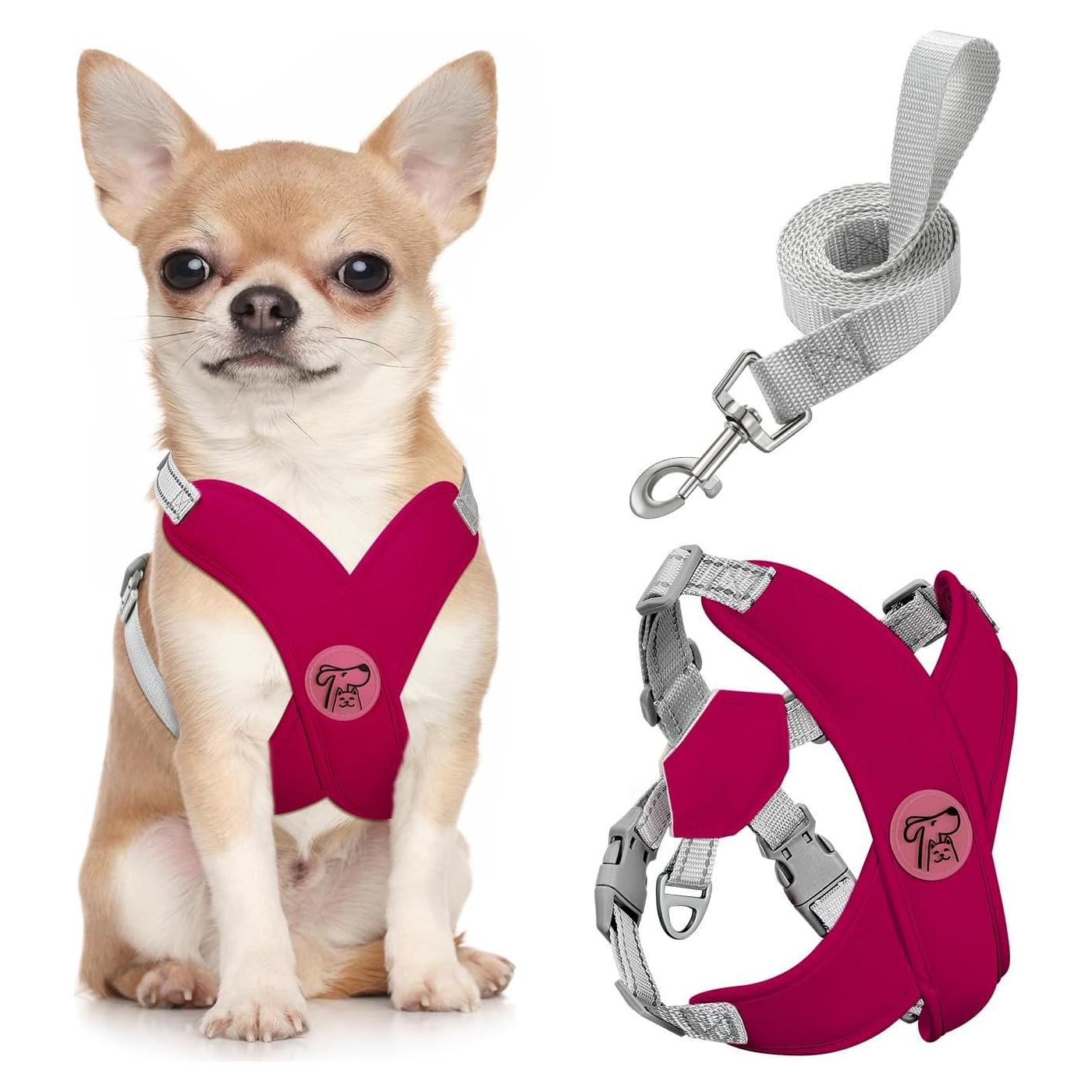 Conjunto Arnés y Correa Pawaboo para Perros Pequeños S Magenta