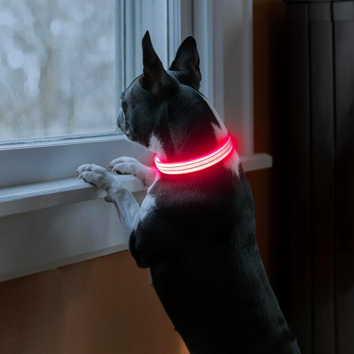 Collar LED Recargable PZRLit para Perros Medianos Rosa