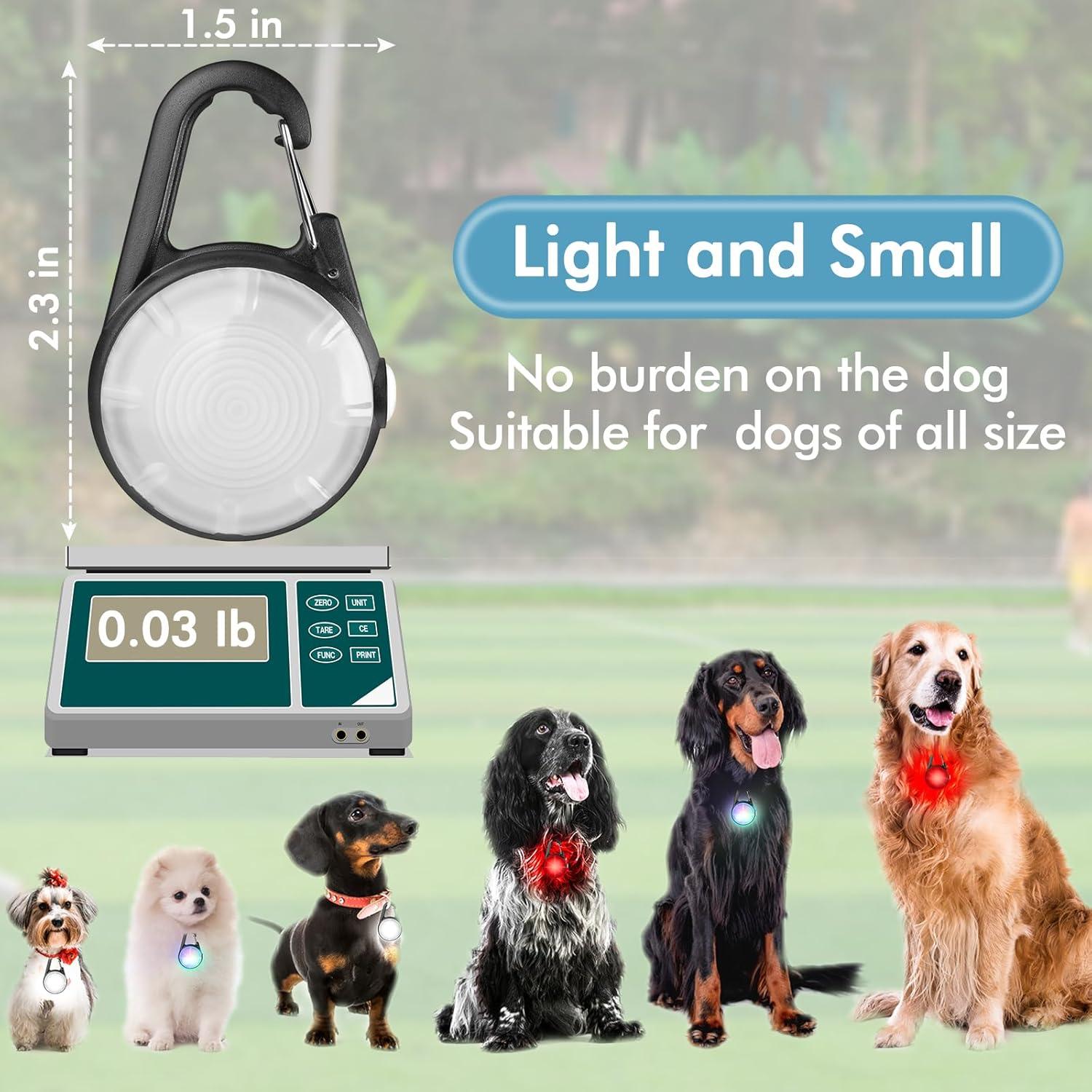 Luz LED para Collar de Perro HIFORT, Recargable IP68, 4 Modos