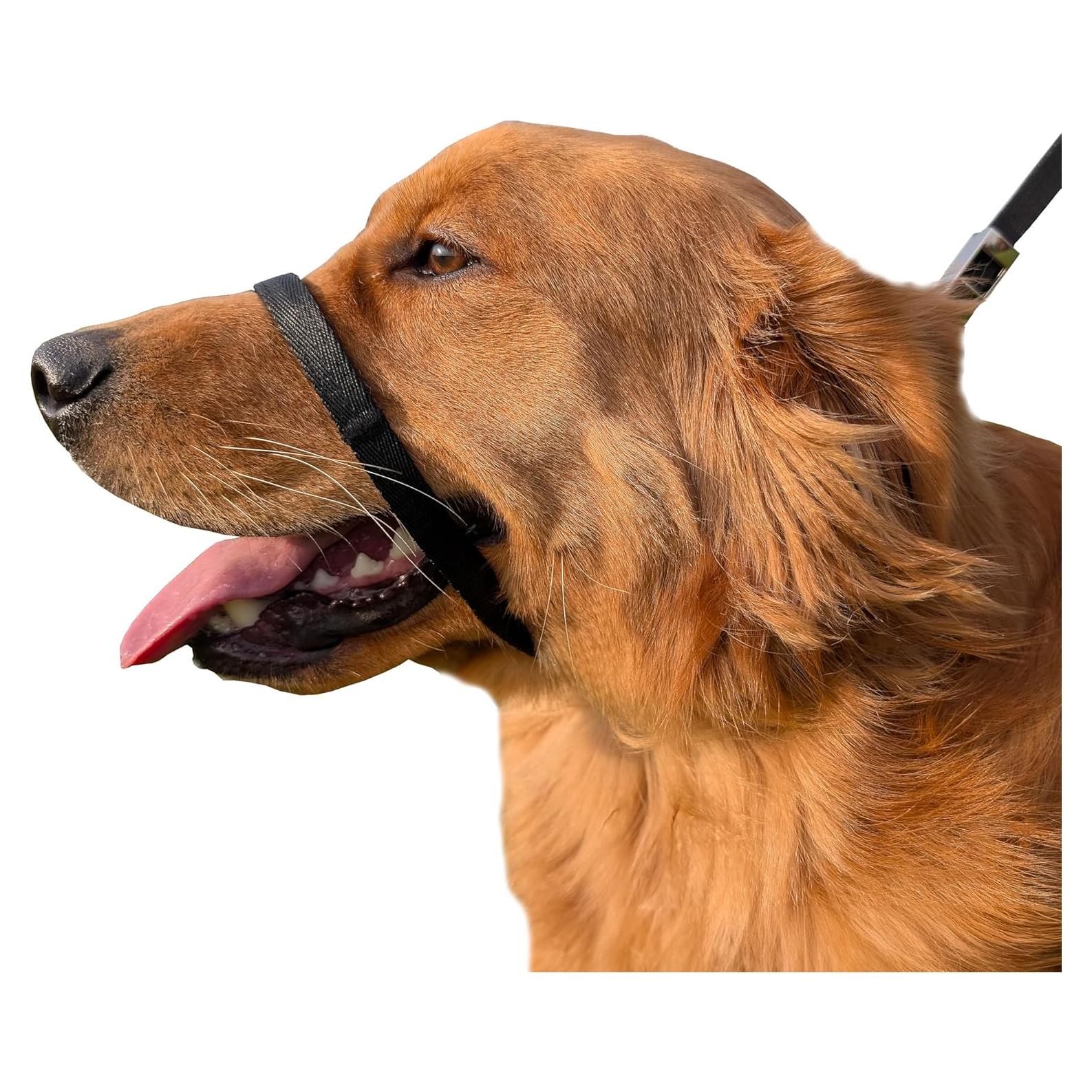 Collar de Cabeza para Perros JVA Pro Mediano Sin Tirones