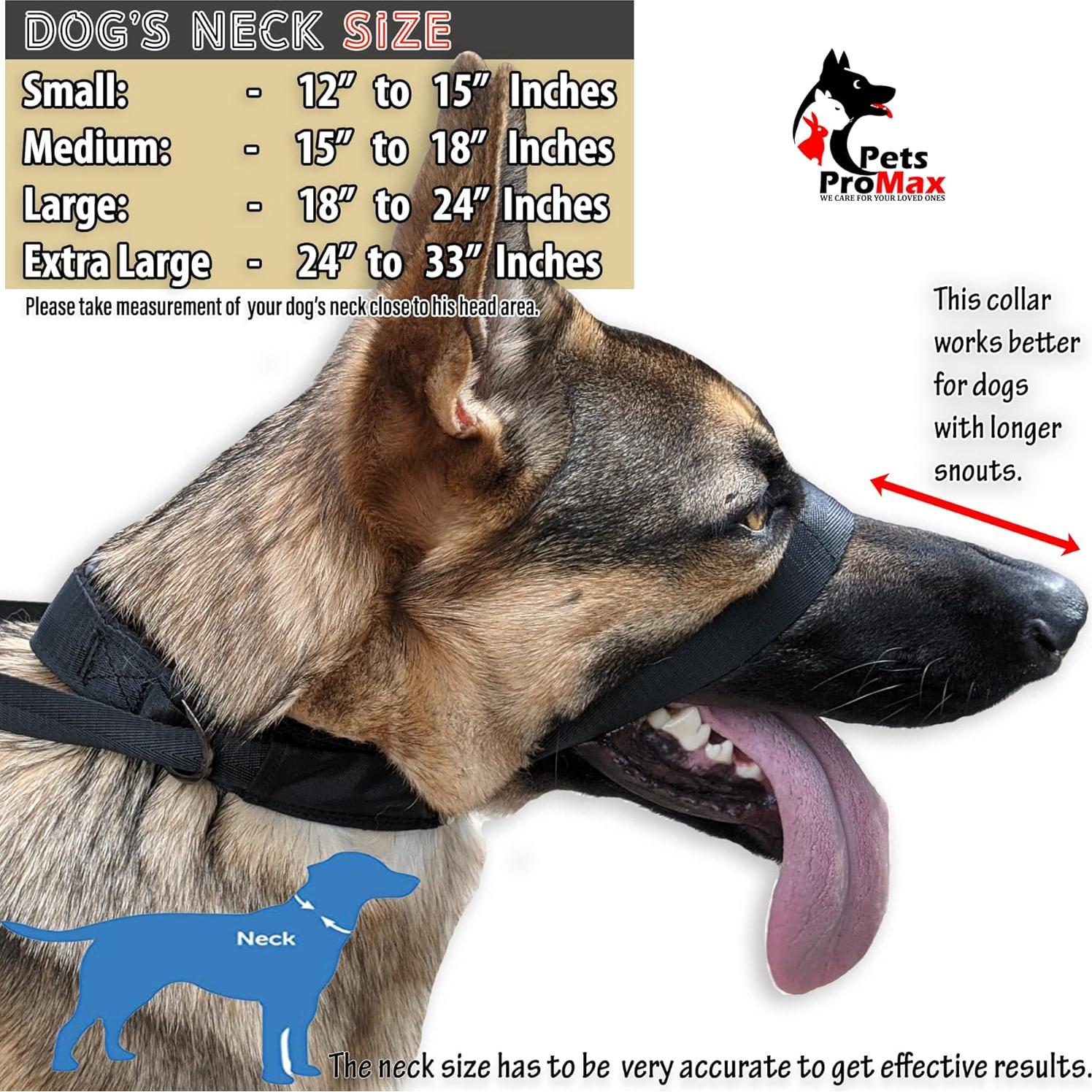 Collar de Cabeza para Perros JVA Pro Mediano Sin Tirones