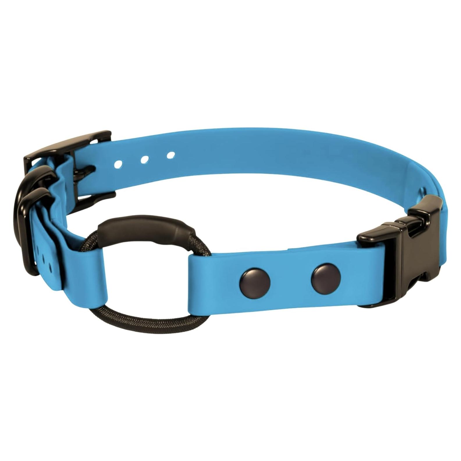 Collar Bungee para e-Collar Pawsitive Pet 1.9 cm Azul Claro