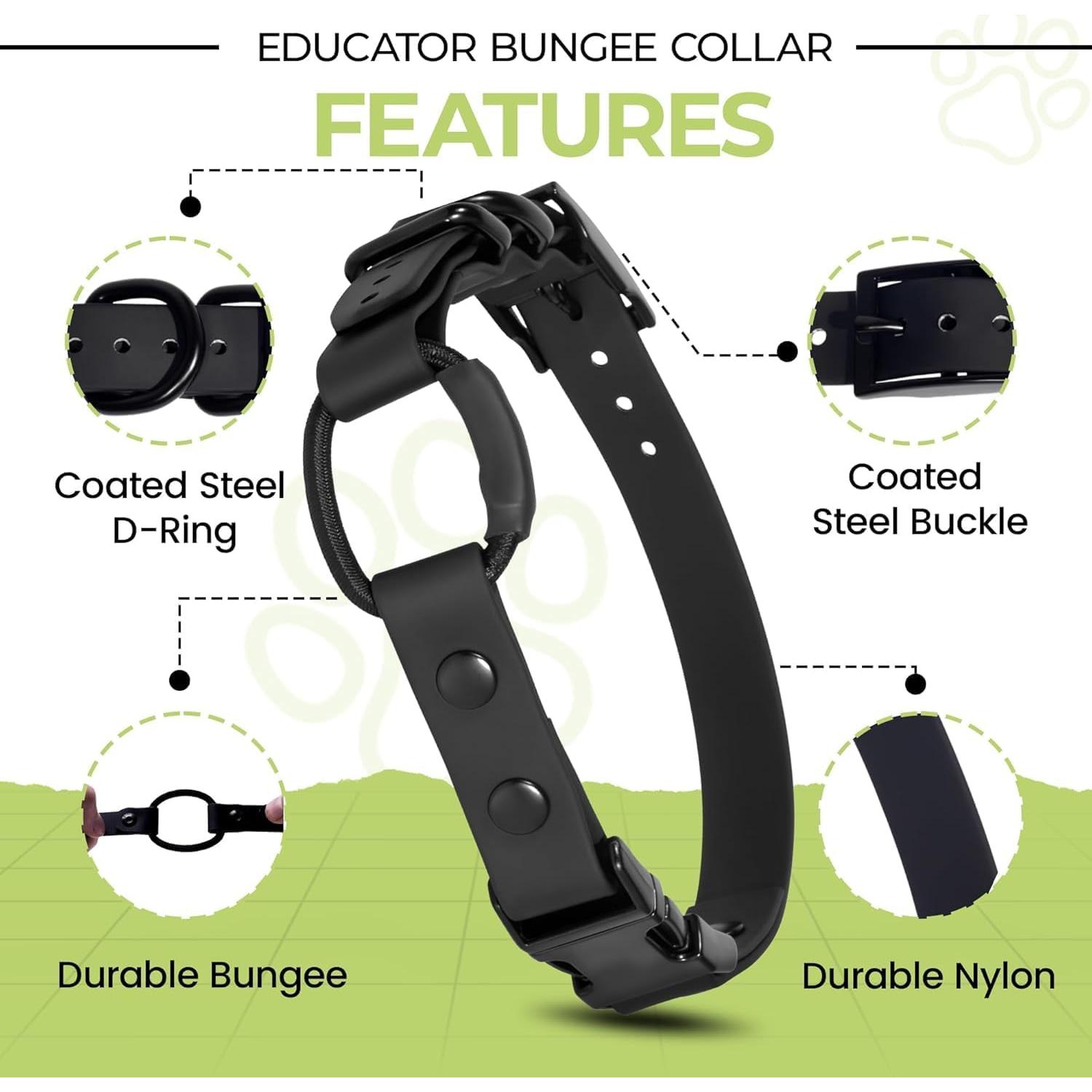 Collar Bungee para e-Collar Pawsitive Pet 1.9 cm Azul Claro