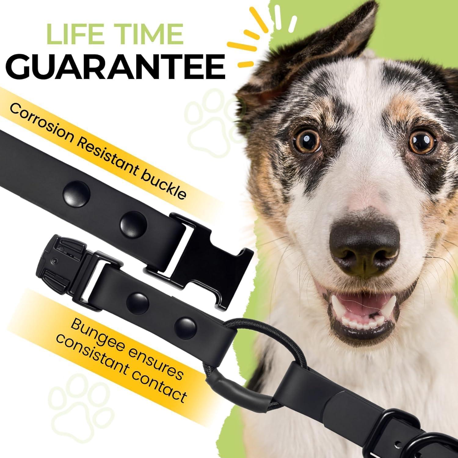 Collar Bungee para e-Collar Pawsitive Pet 1.9 cm Azul Claro