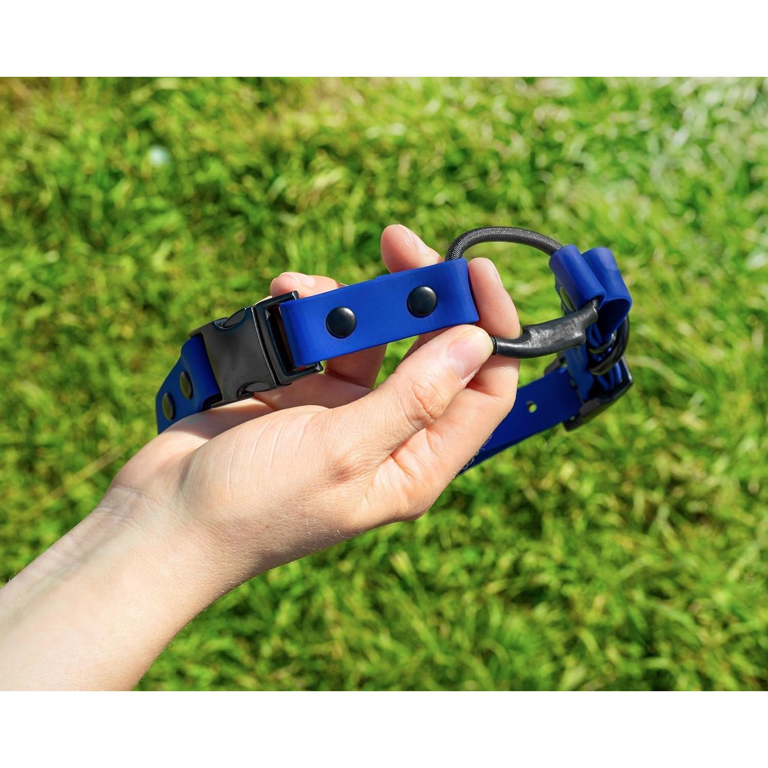 Collar Bungee para e-Collar Pawsitive Pet 1.9 cm Azul Claro