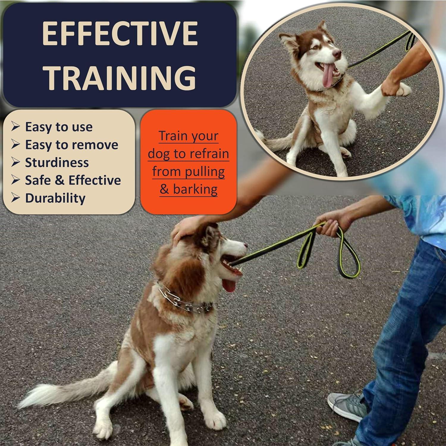 Collar de Entrenamiento DEYACE Ajustable Acero Inoxidable XL Beige