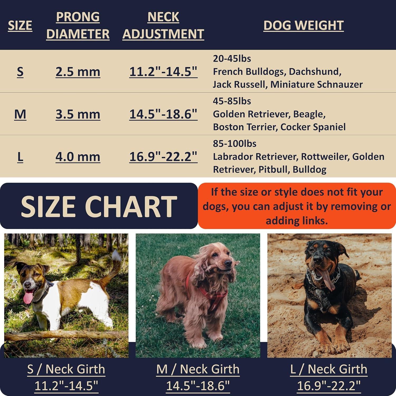 Collar de Entrenamiento DEYACE Ajustable Acero Inoxidable XL Beige