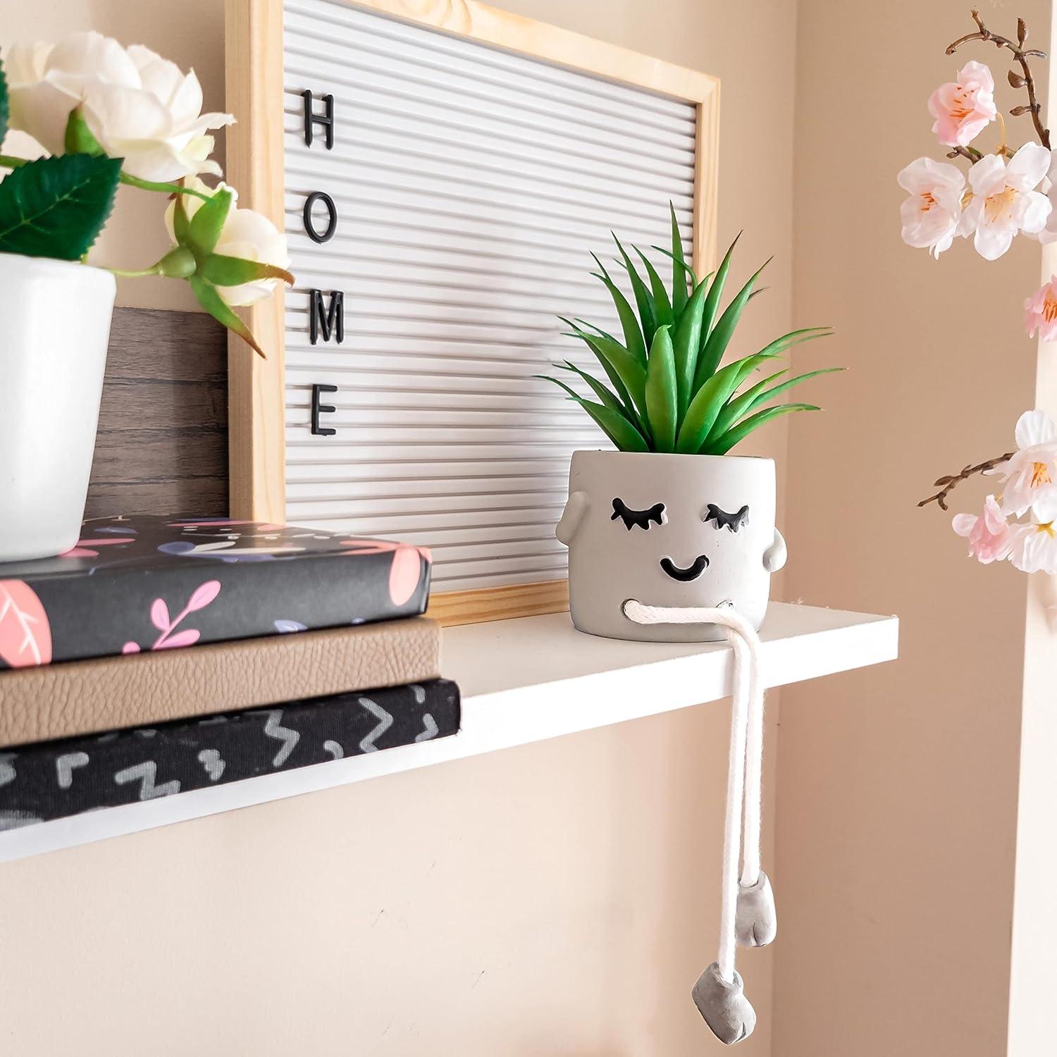 OLEEK Set de 3 Suculentas Artificiales para Oficina - Decoración