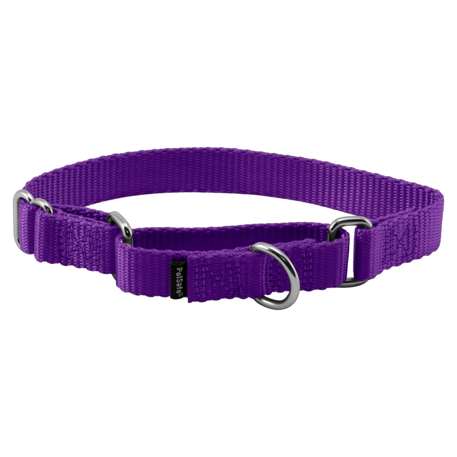Collar Martingale Ajustable PetSafe Pequeño 1.9 cm Púrpura