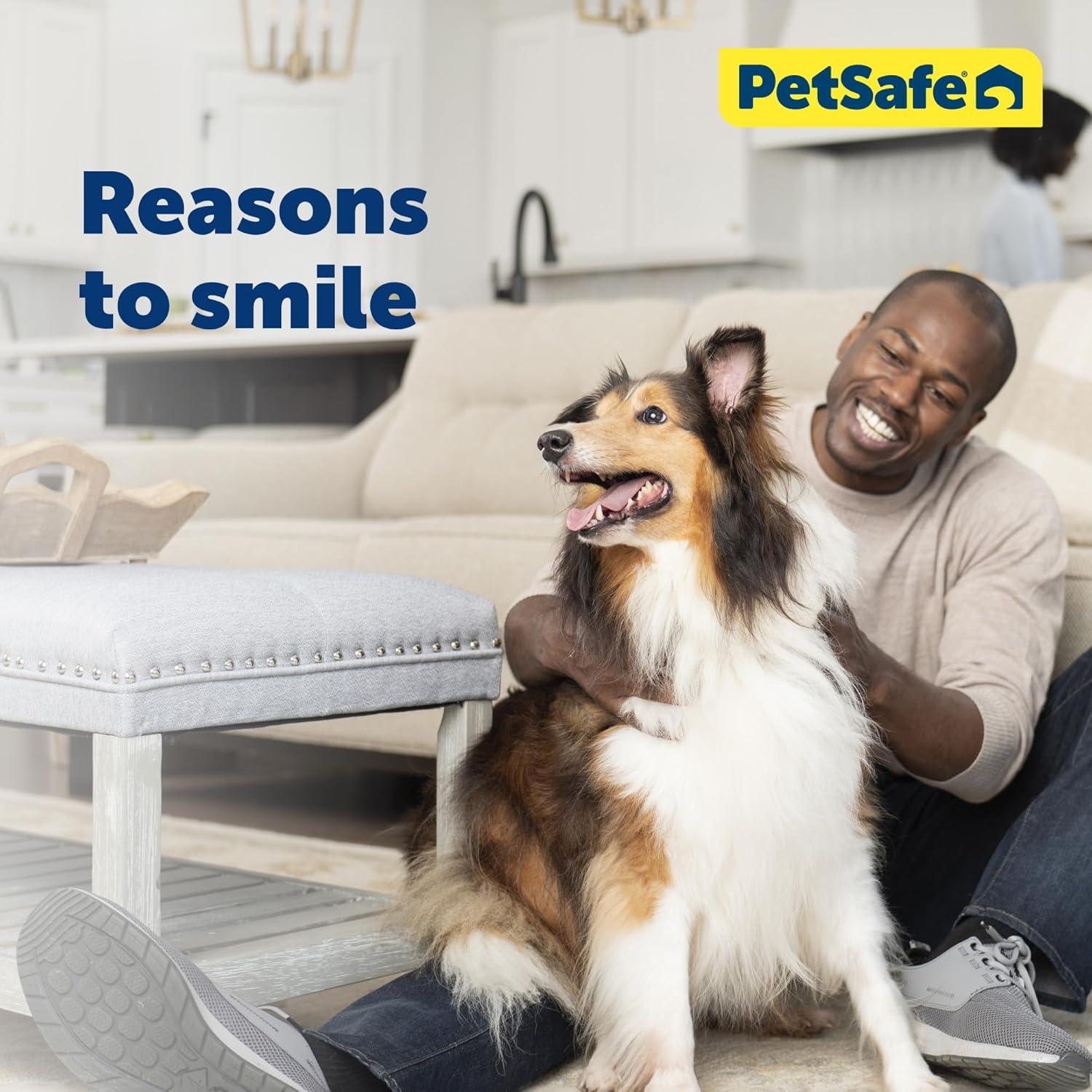 Collar Martingale Ajustable PetSafe Pequeño 1.9 cm Púrpura