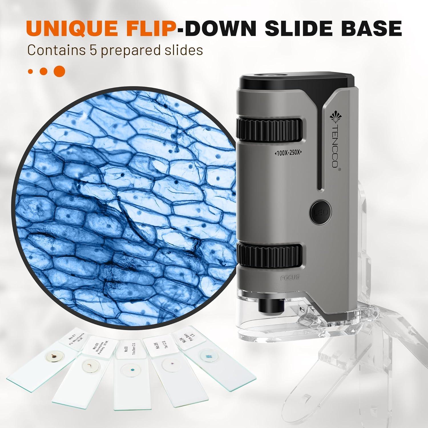 Microscopio de bolsillo TENCCO 100x-250x portátil gris