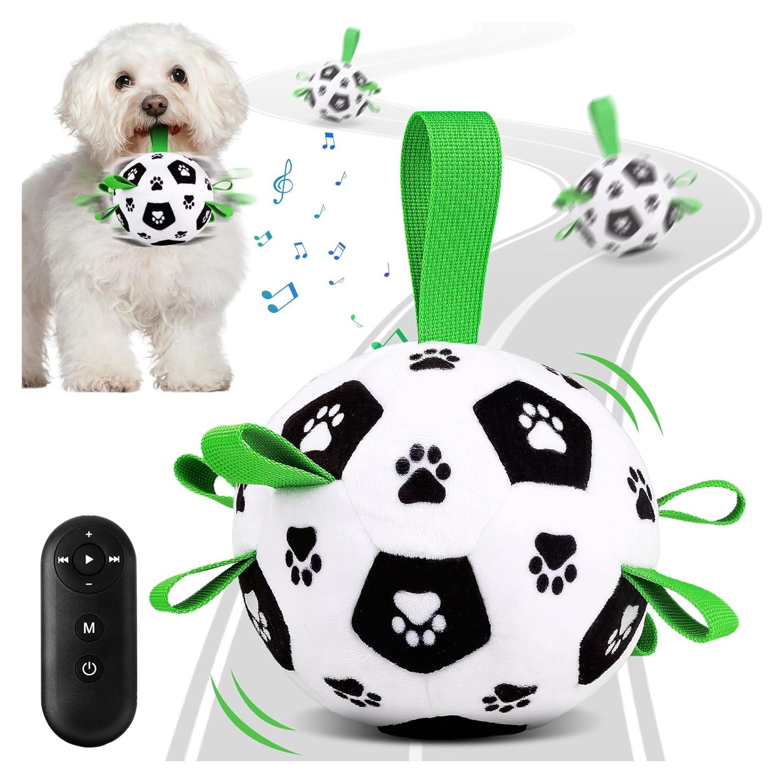 Pelota Interactiva para Perros QDAN con Control Remoto 12.7cm