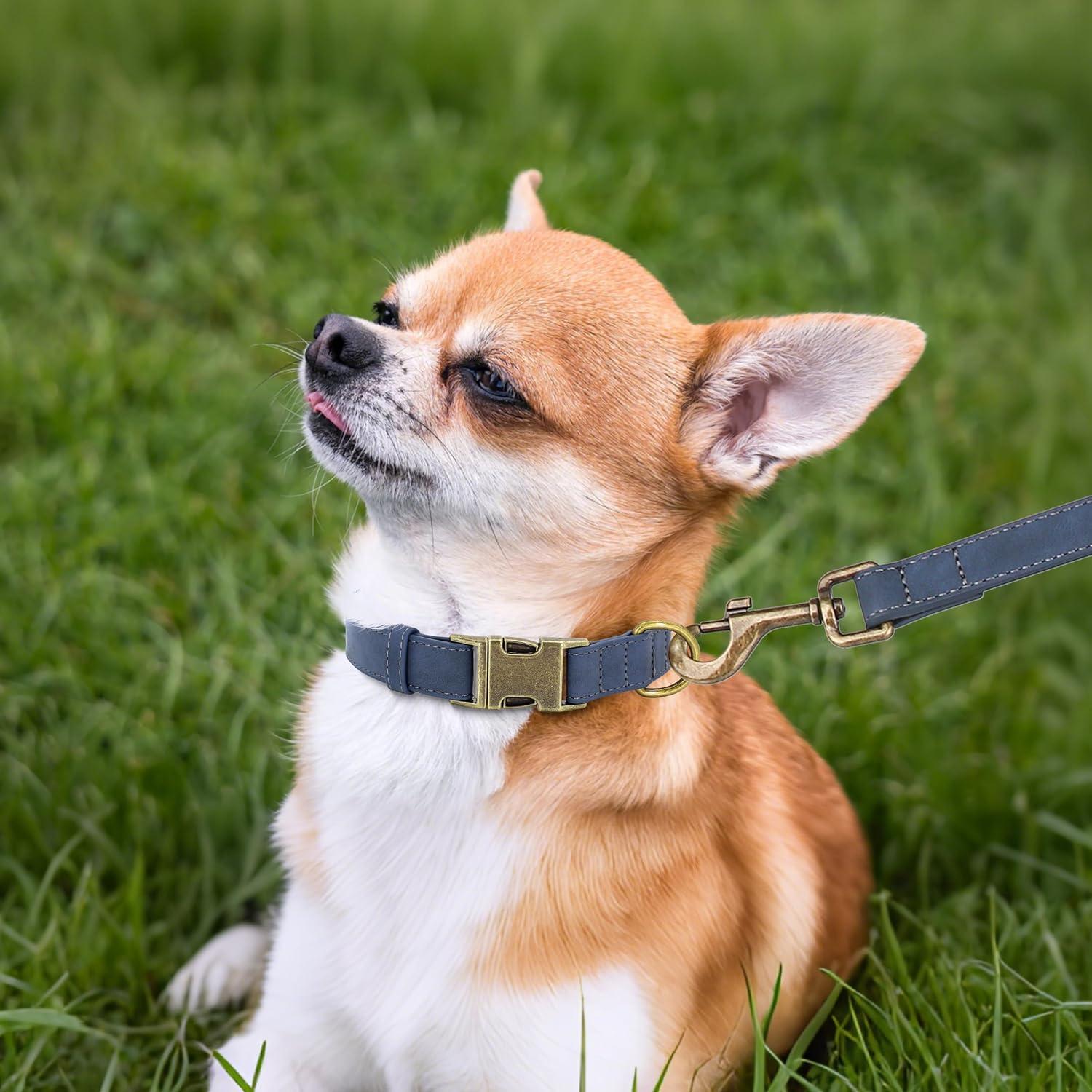 Collar para Perro Didog de Cuero PU Ajustable Azul Talla S