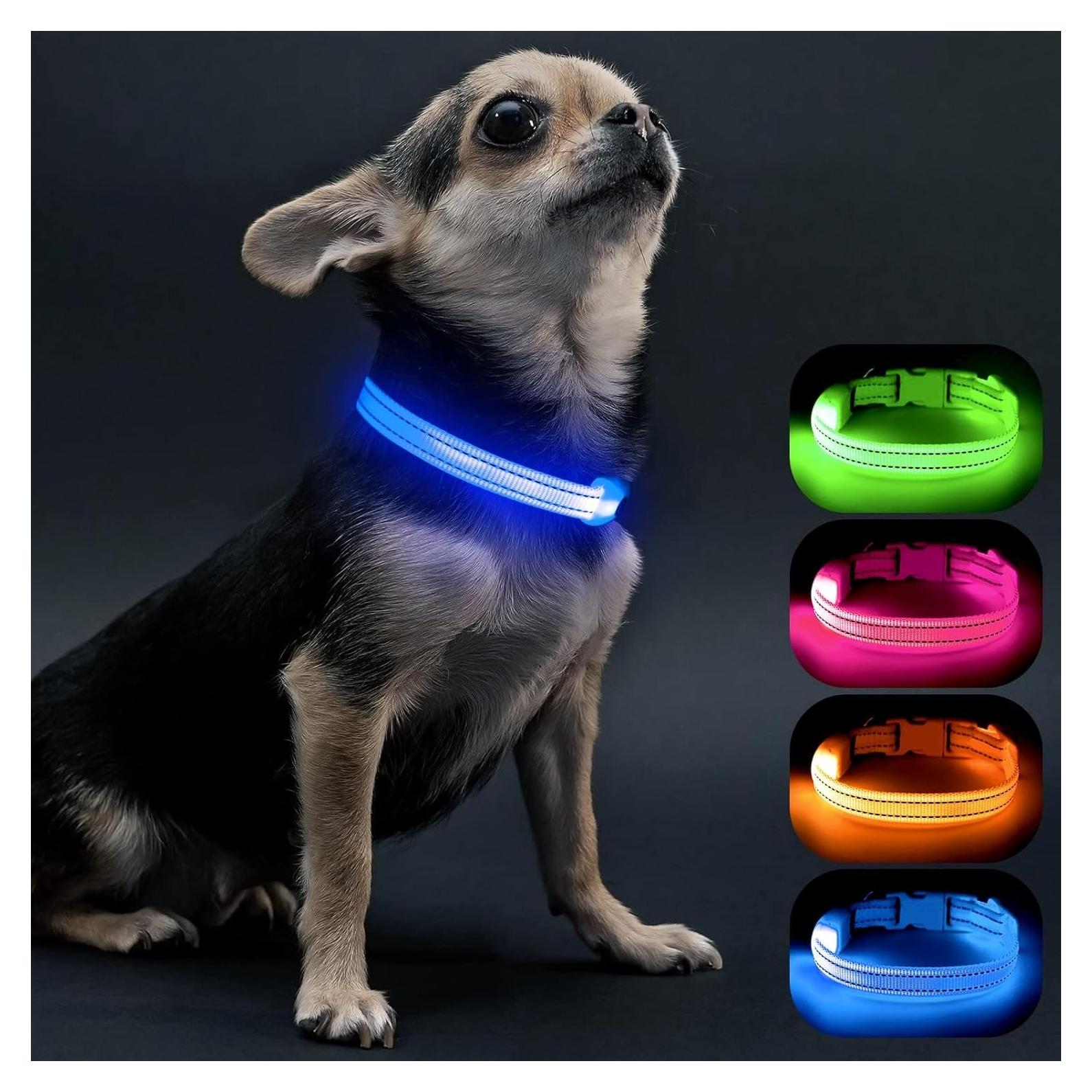 Collar LED Recargable para Perros Pequeños Visinite Azul
