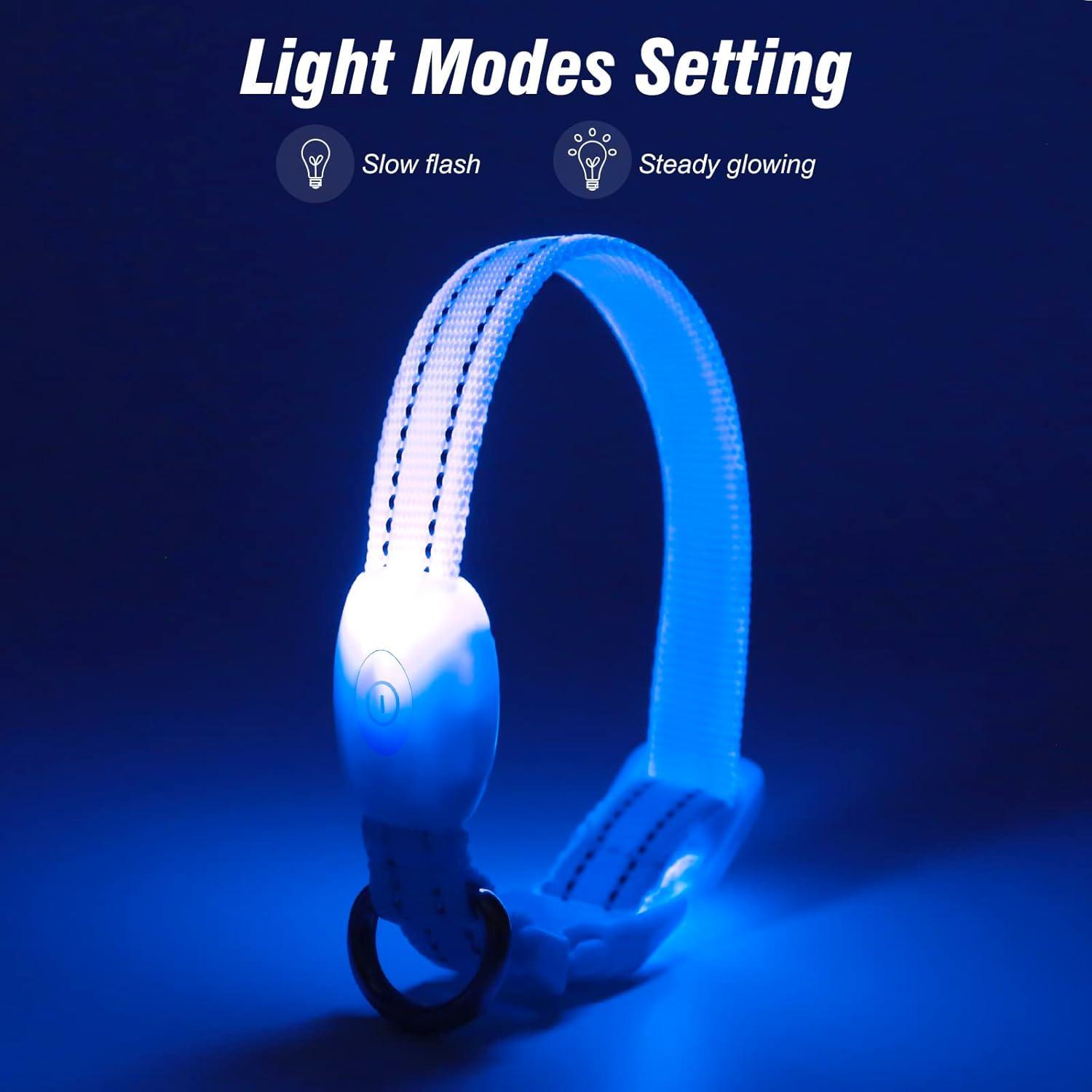 Collar LED Recargable para Perros Pequeños Visinite Azul