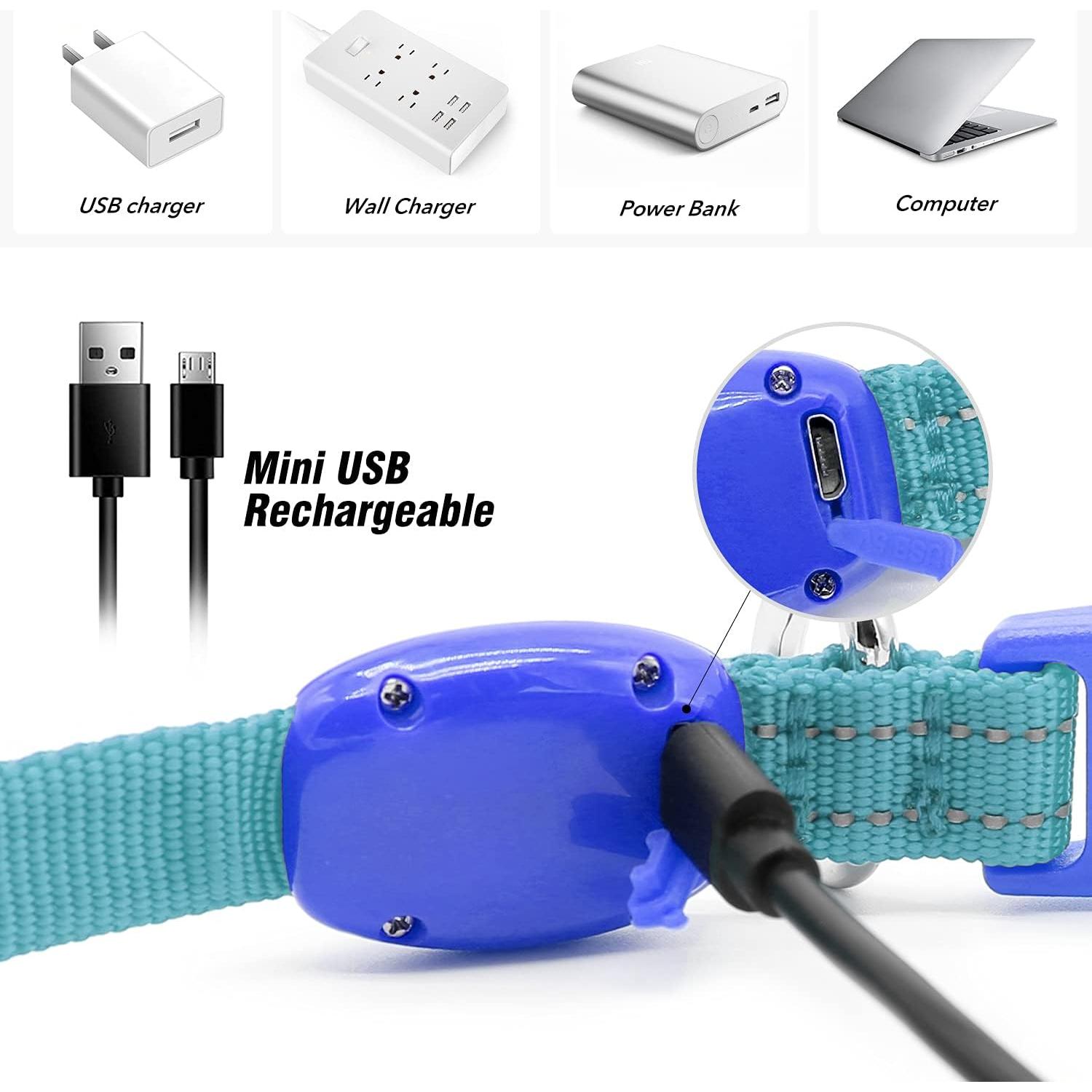 Collar LED Recargable para Perros Pequeños Visinite Azul