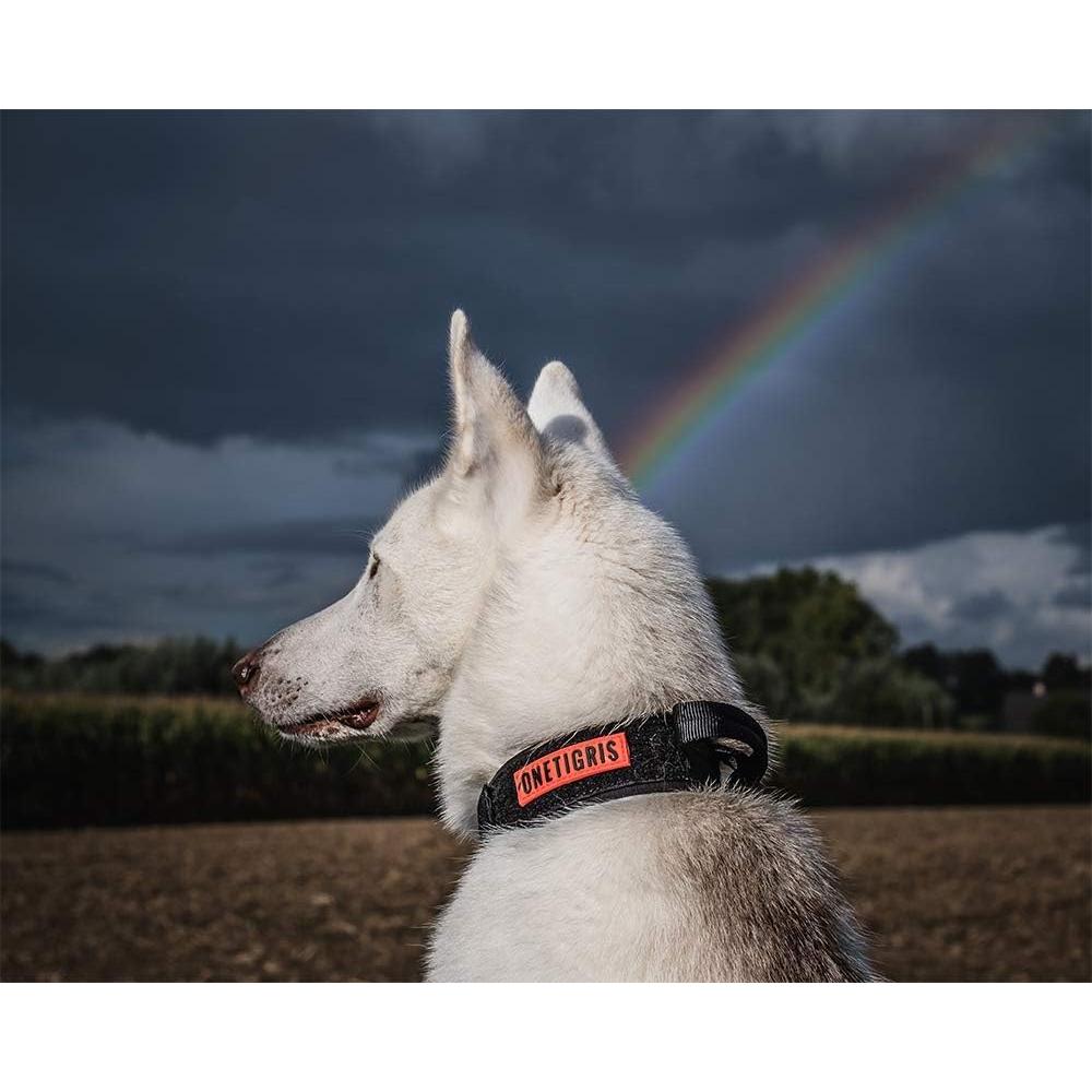 Collar Táctico para Perros OneTigris Ajustable Negro S
