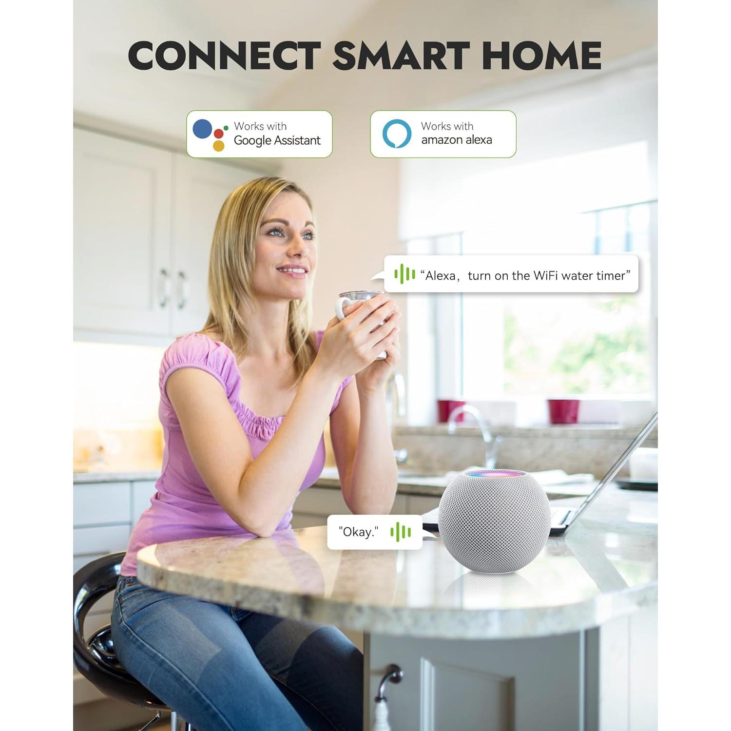Temporizador de Agua WiFi RAINPOINT con Control APP y Clima