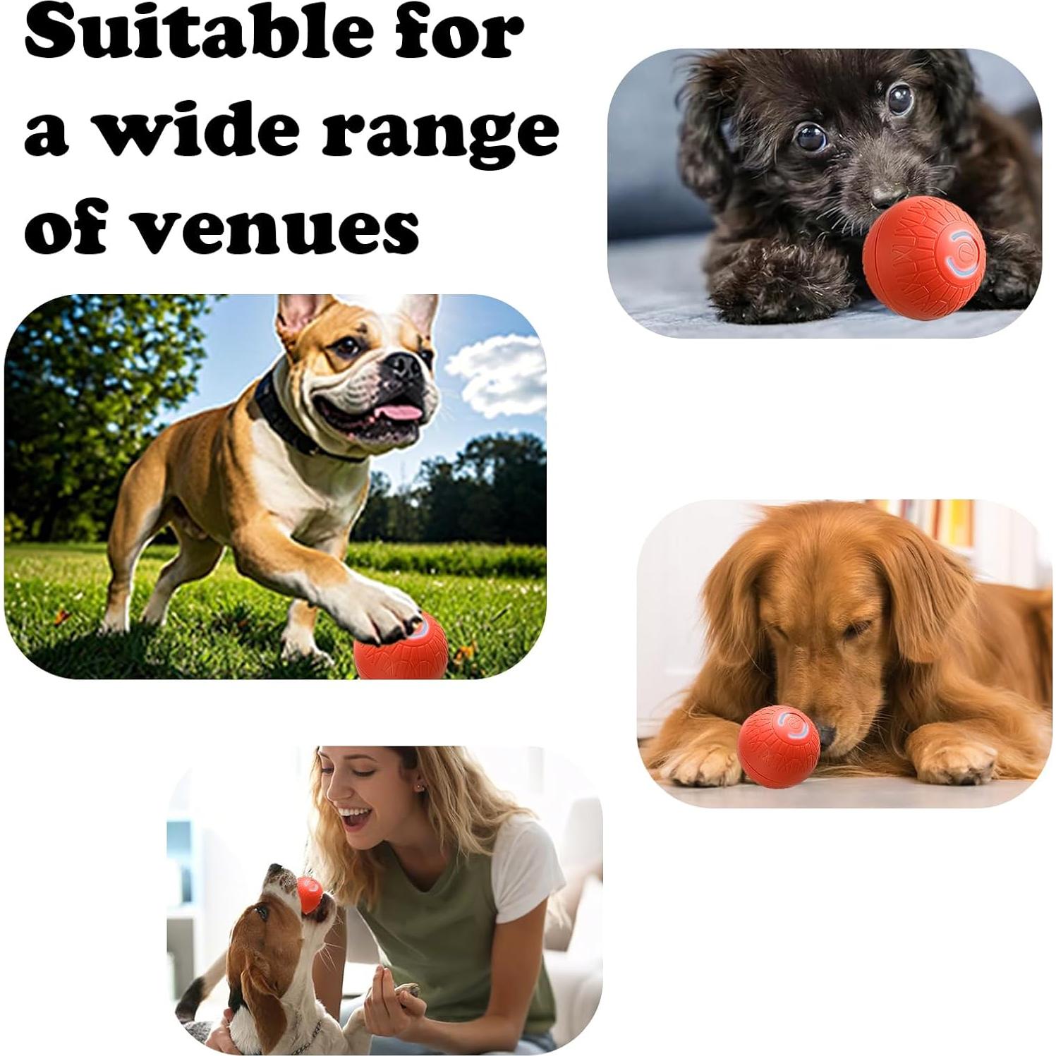 Bola de perro interactiva Aidmgndz 67mm auto-rebotante Naranja