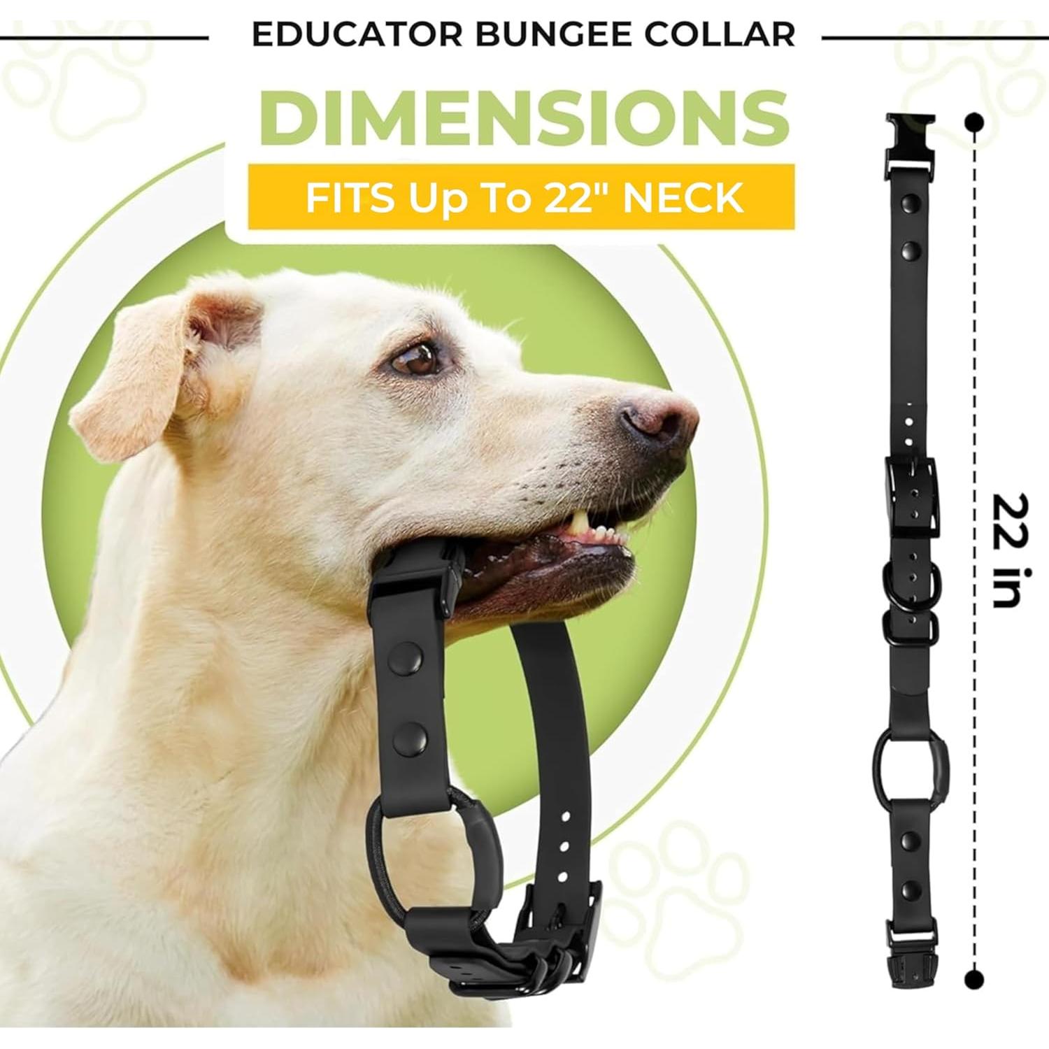 Collar Bungee para e-Collar Gracie To The Rescue 3/4" Negro