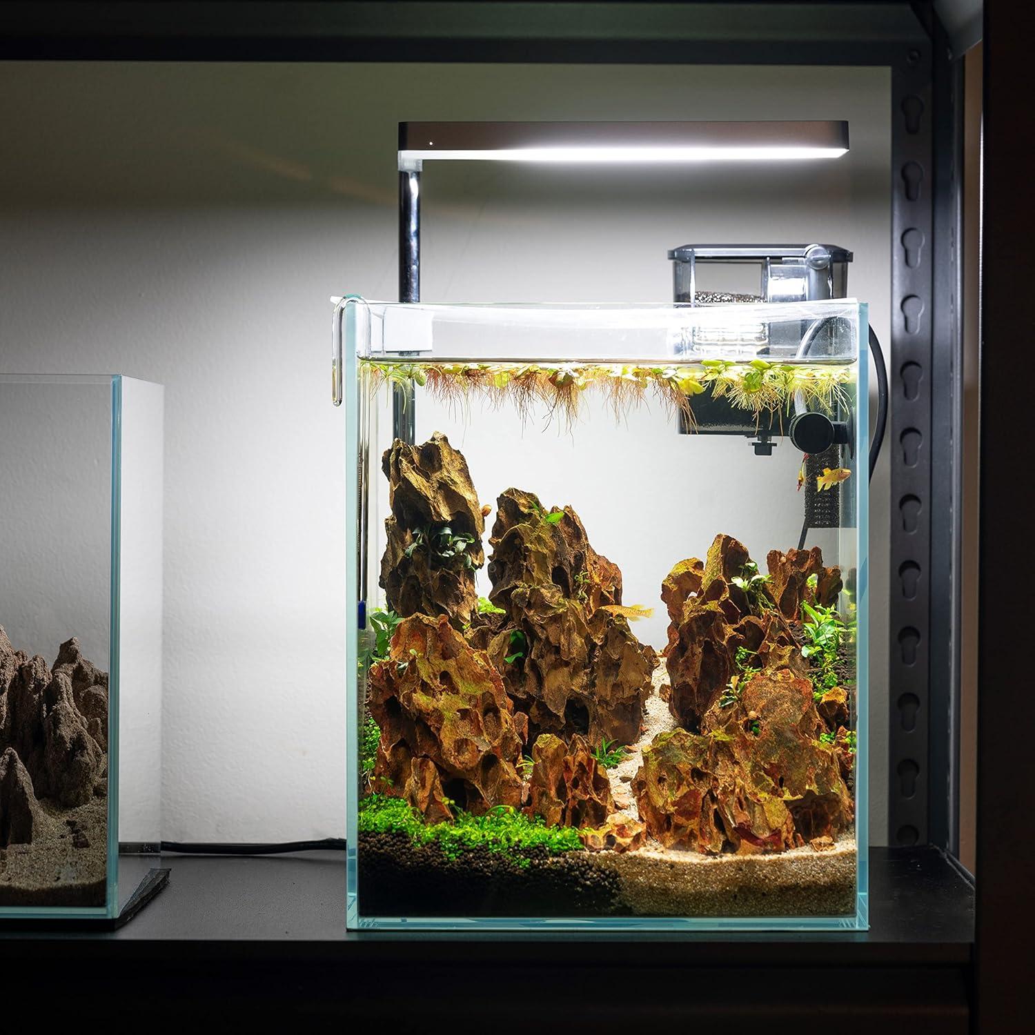 Acuario de vidrio HIRO Aquatics ET25 25x25x30cm sin tapa