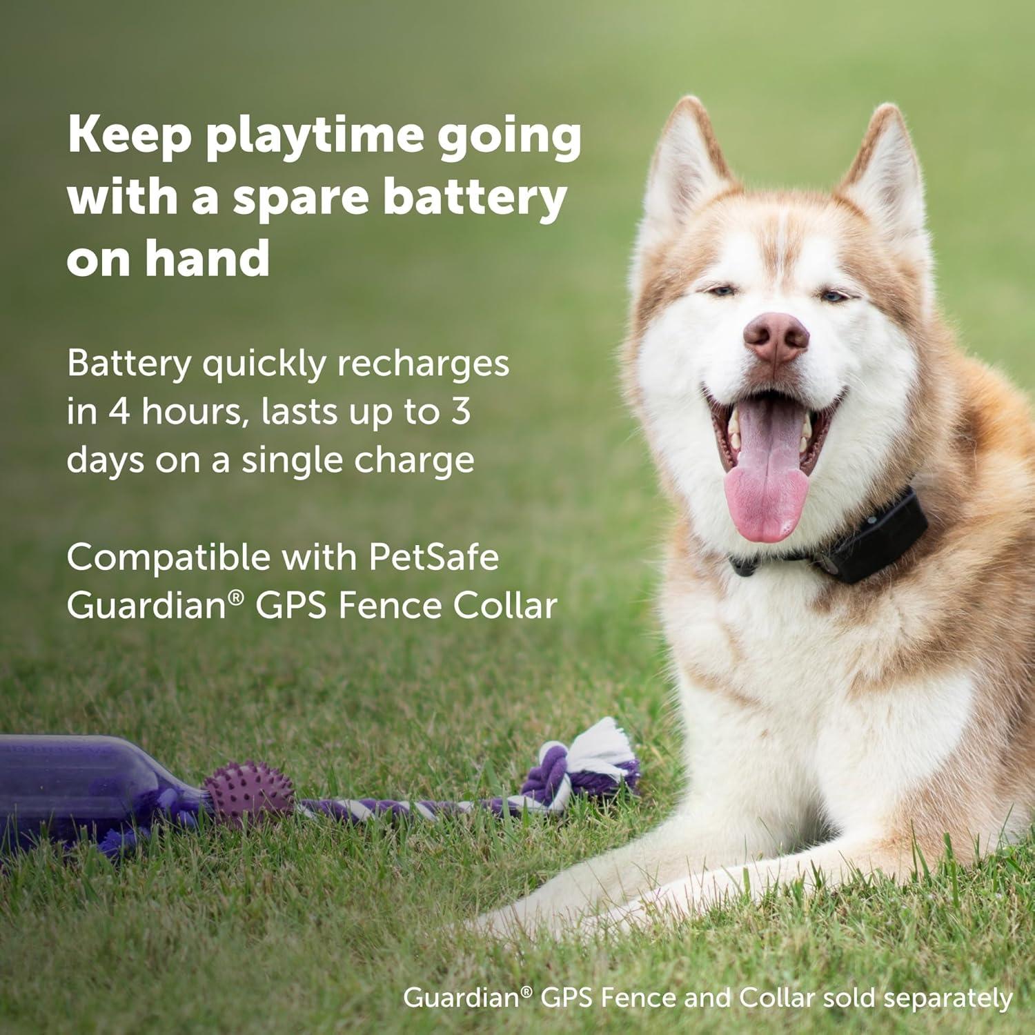 Batería de repuesto PetSafe para collar GPS Guardian - 1900 mAh