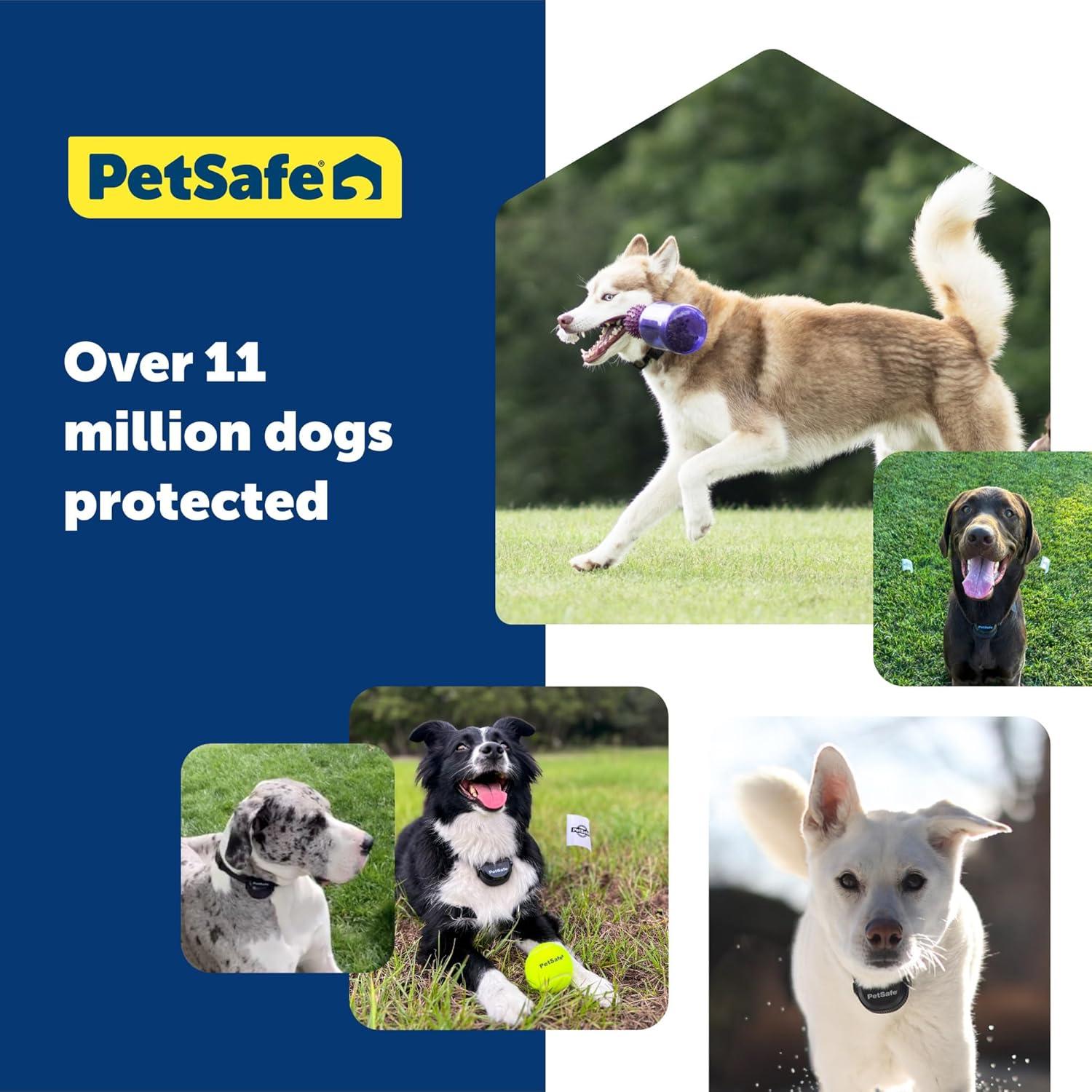 Batería de repuesto PetSafe para collar GPS Guardian - 1900 mAh