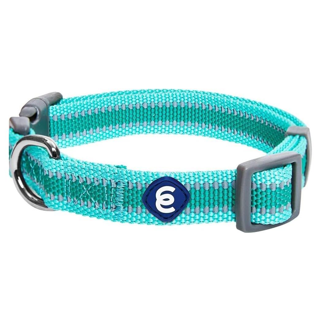 Collar Reflectante Verde Menta para Perro Pequeño Blueberry Pet