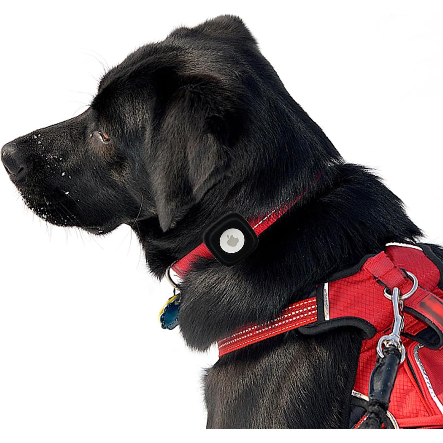 Soporte para Collar de Perro Bobo Rainbow - 2 Unidades Negro