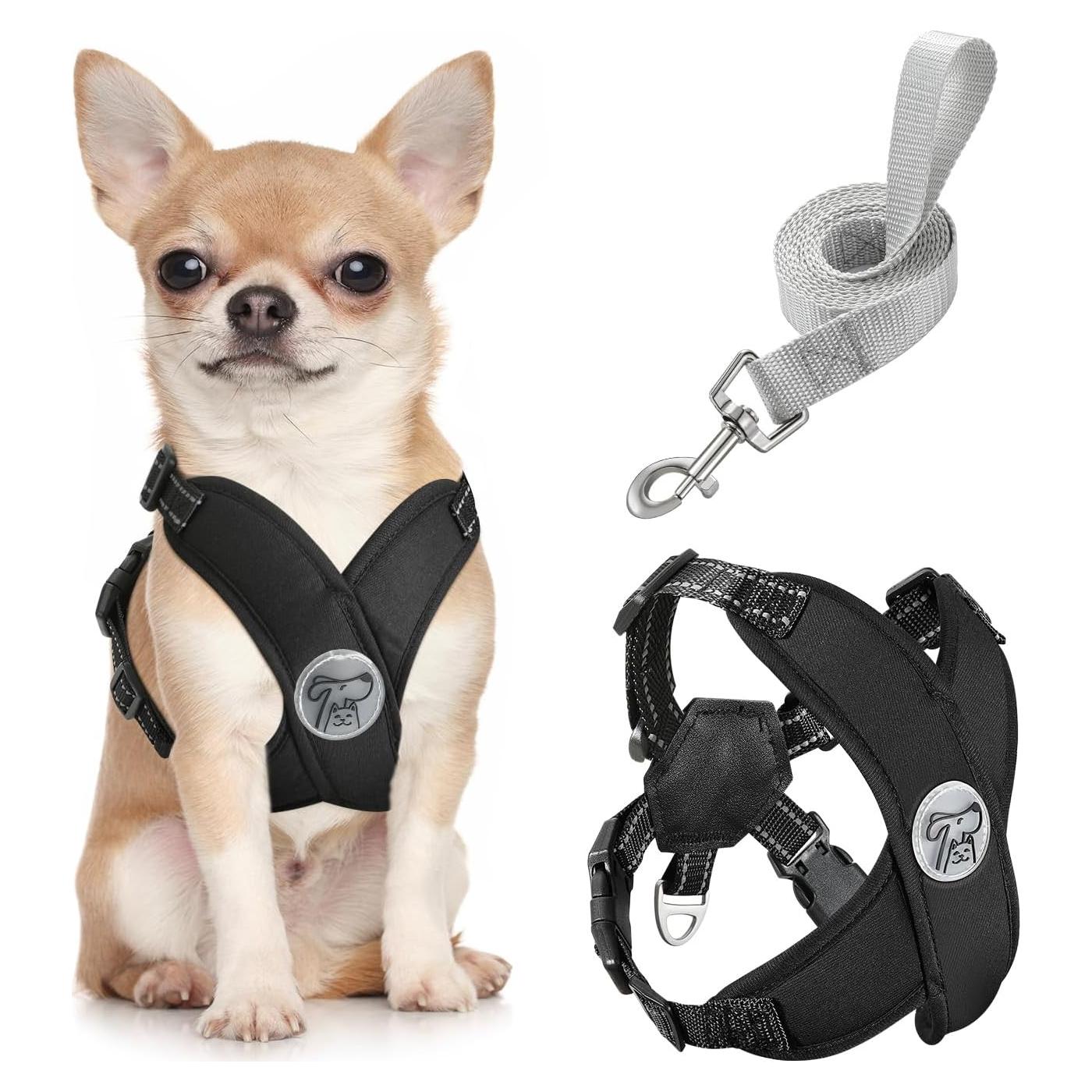 Conjunto Arnés y Correa Pawaboo para Perros Pequeños Negro