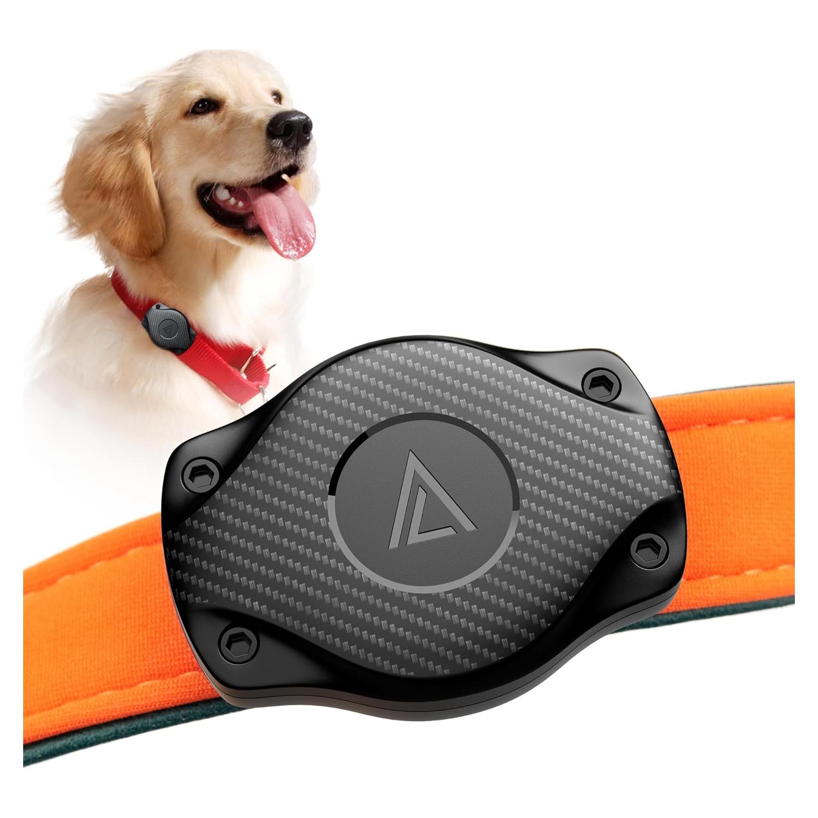 Soporte para Collar de Perro AirTag Citymore Resistente al Agua